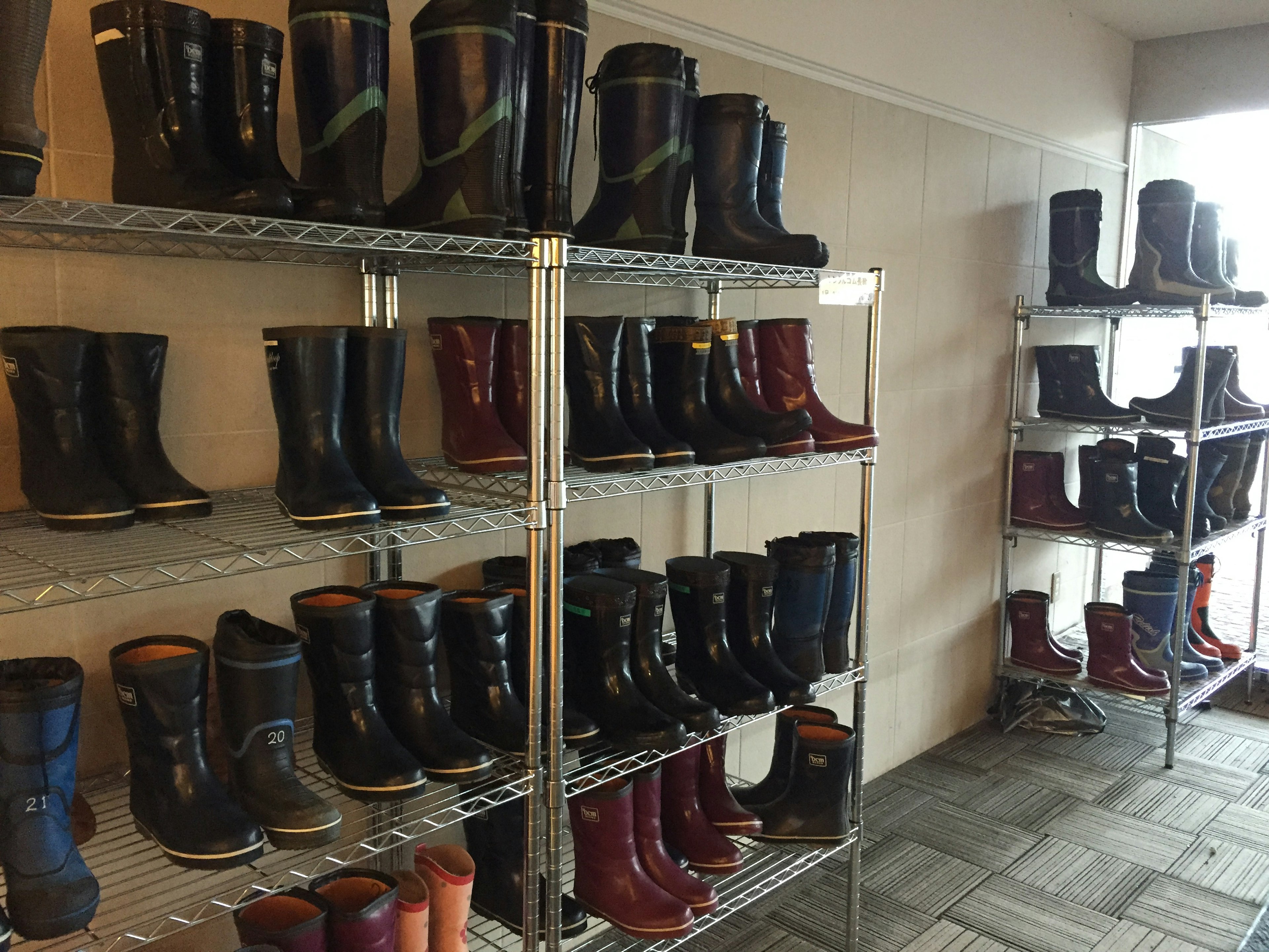 Botas de lluvia de varios colores organizadas en estantes