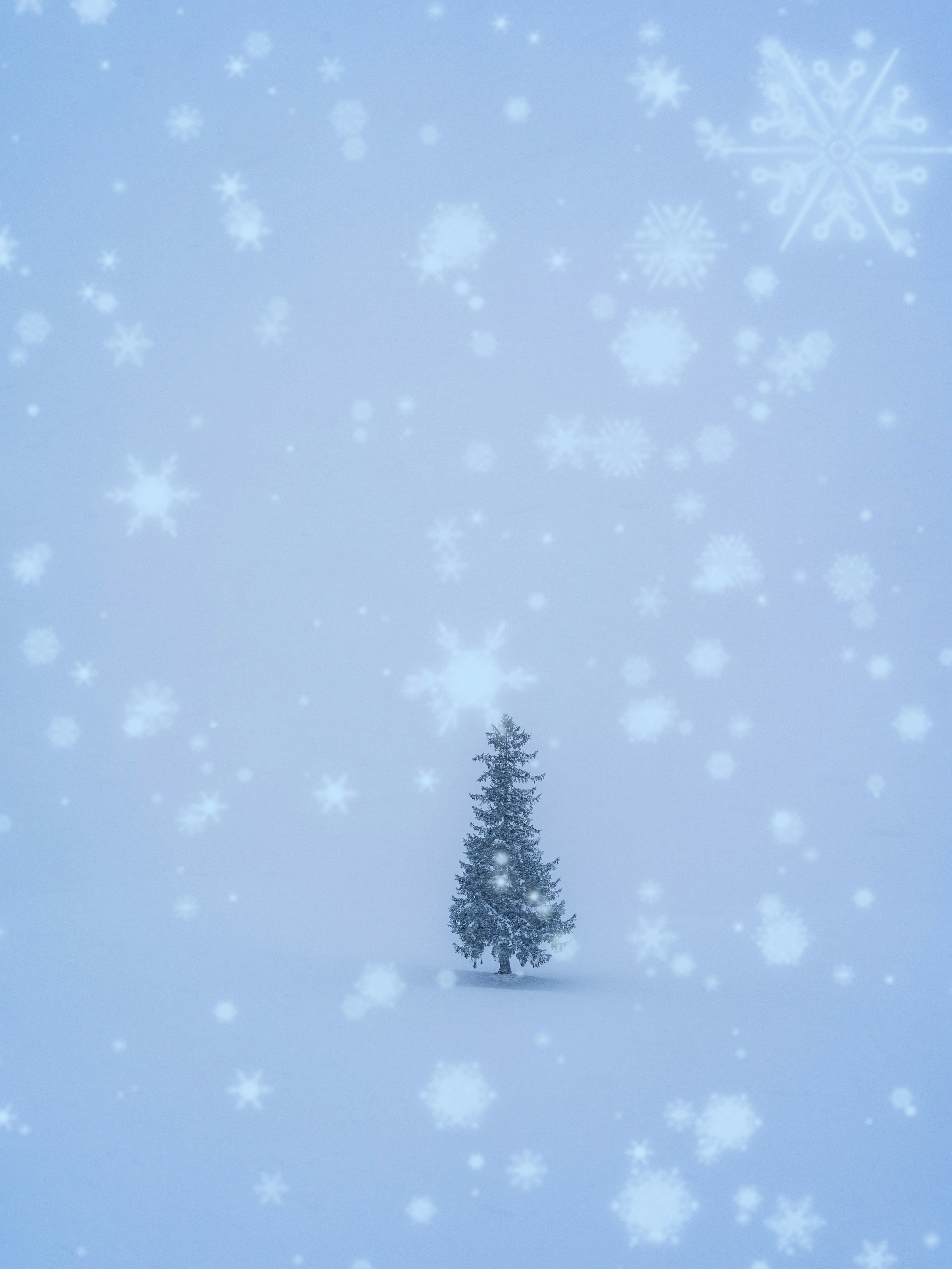 Ein einzelner Baum im Schnee mit fallenden Schneeflocken