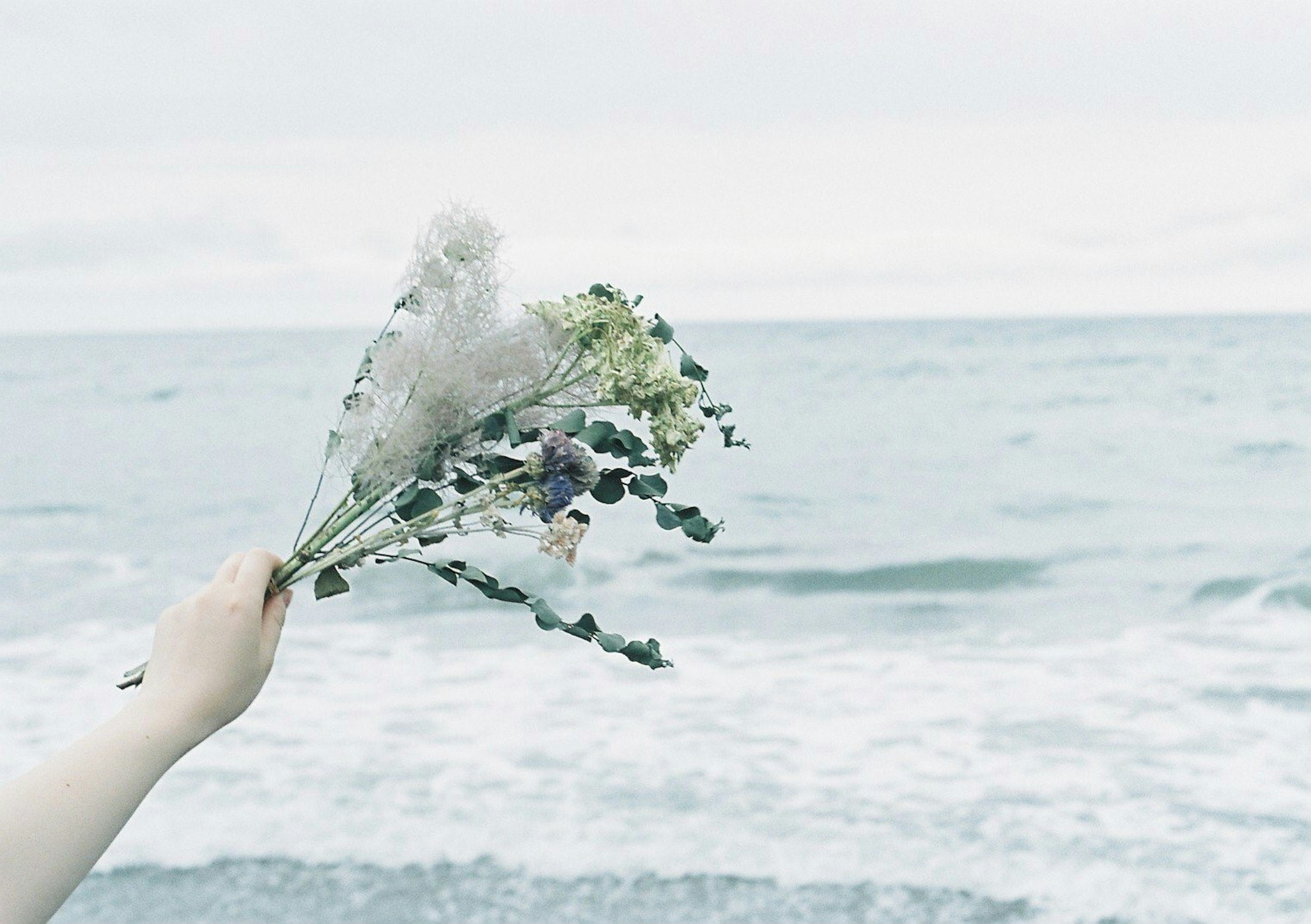 Una mano sosteniendo un ramo de flores secas frente al océano