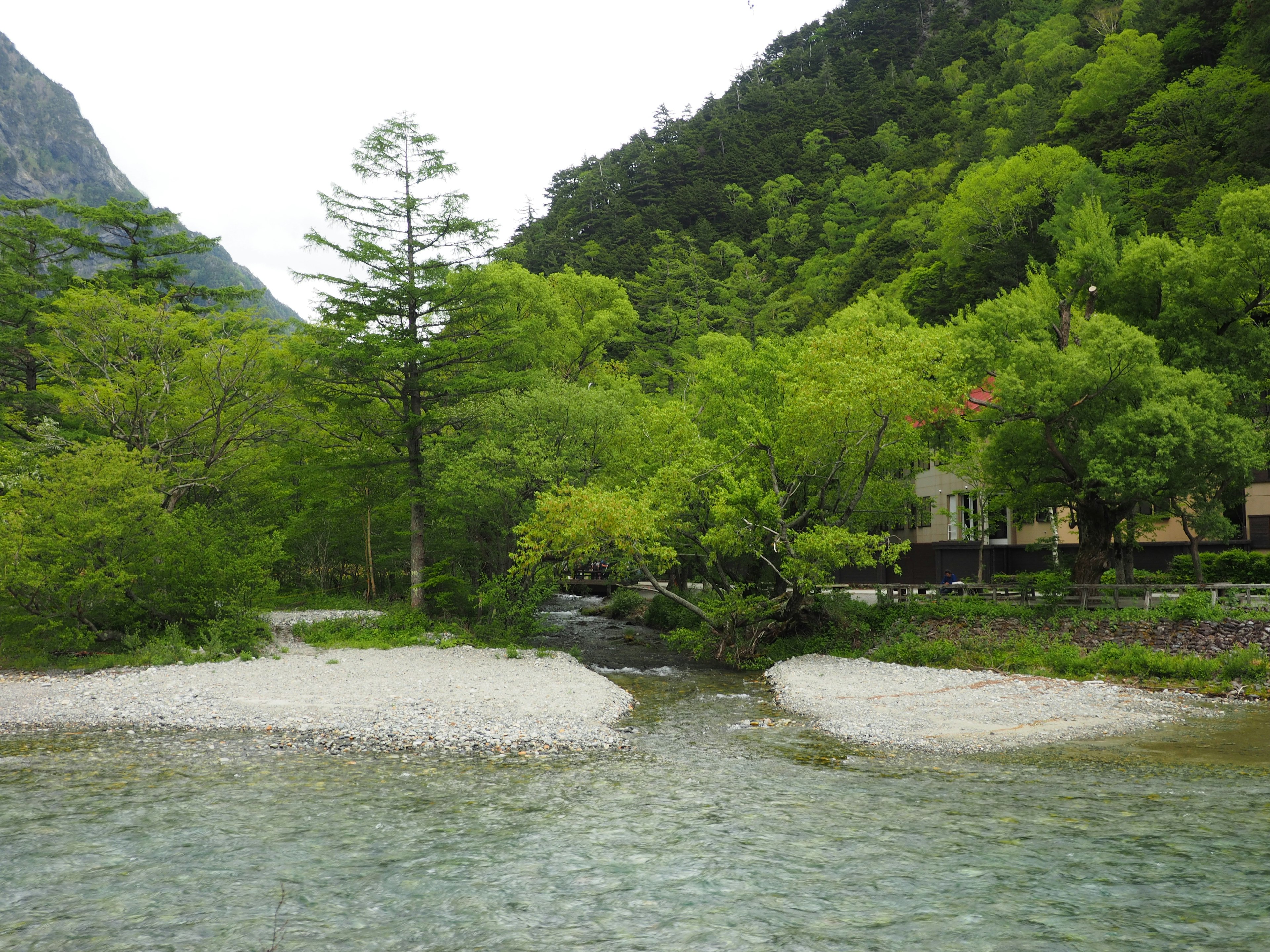 Scenic river landscape surrounded by lush green trees