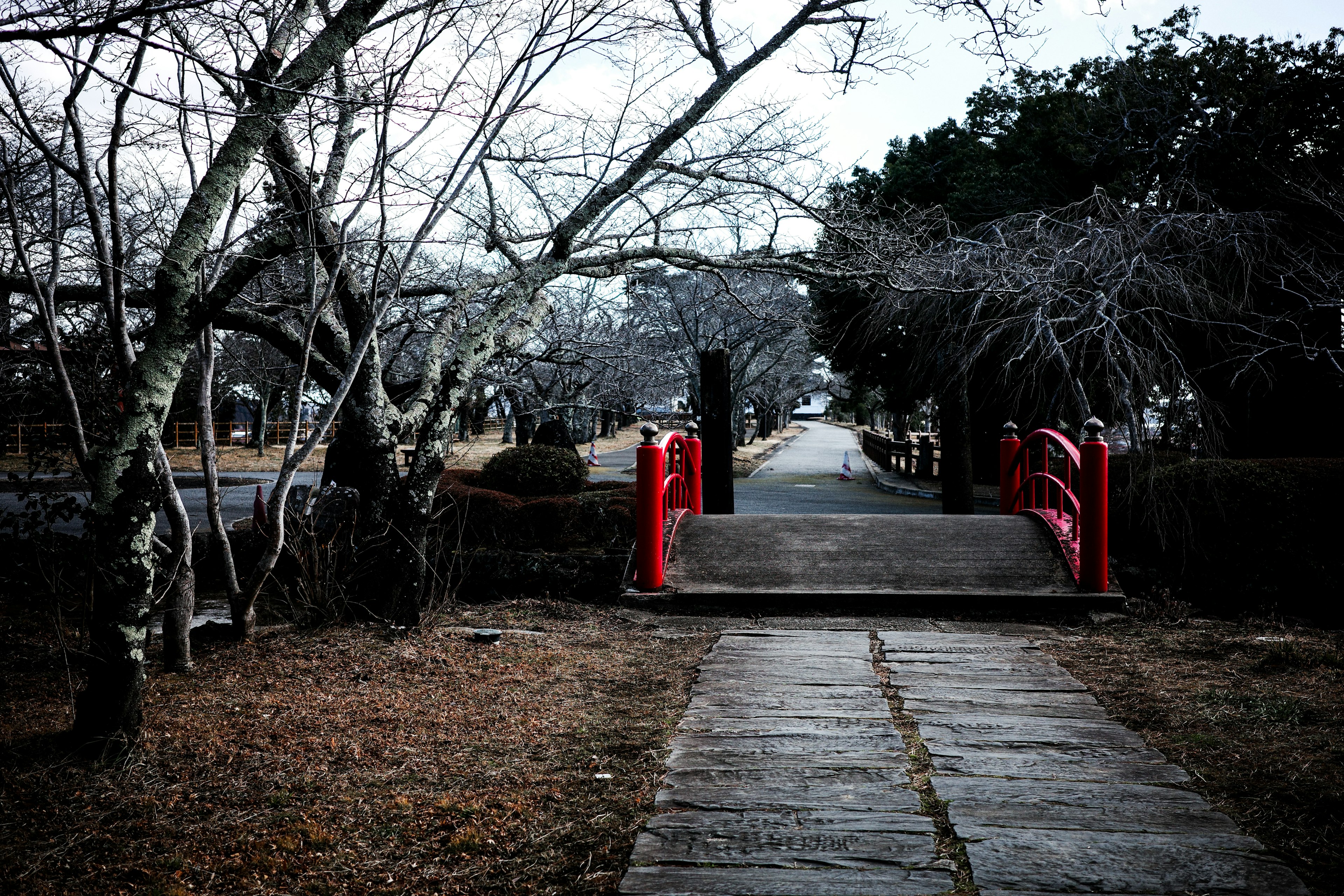 赤い橋がある静かな公園の小道