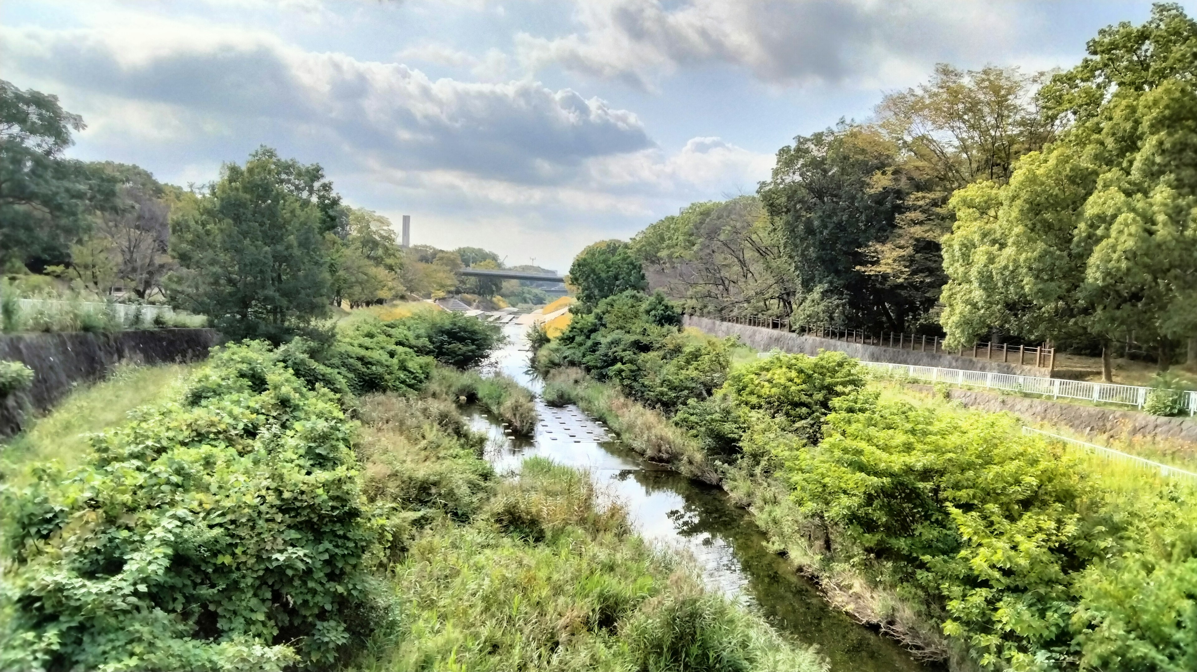 Végétation luxuriante le long d'une rivière sinueuse avec des arbres et des nuages