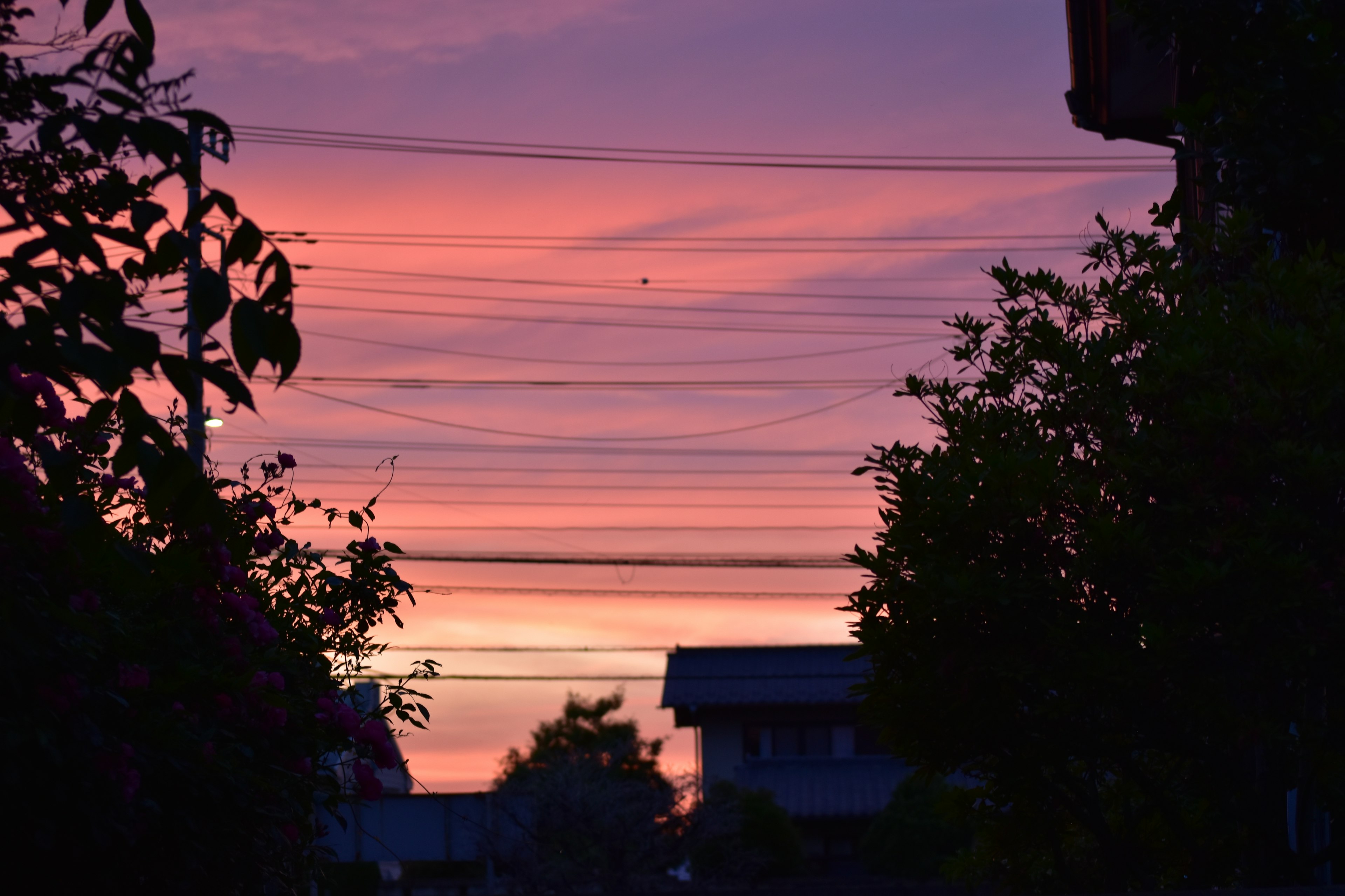 美しい夕焼けの空にオレンジと紫の色合いが広がり、シルエットの建物や木々が映える