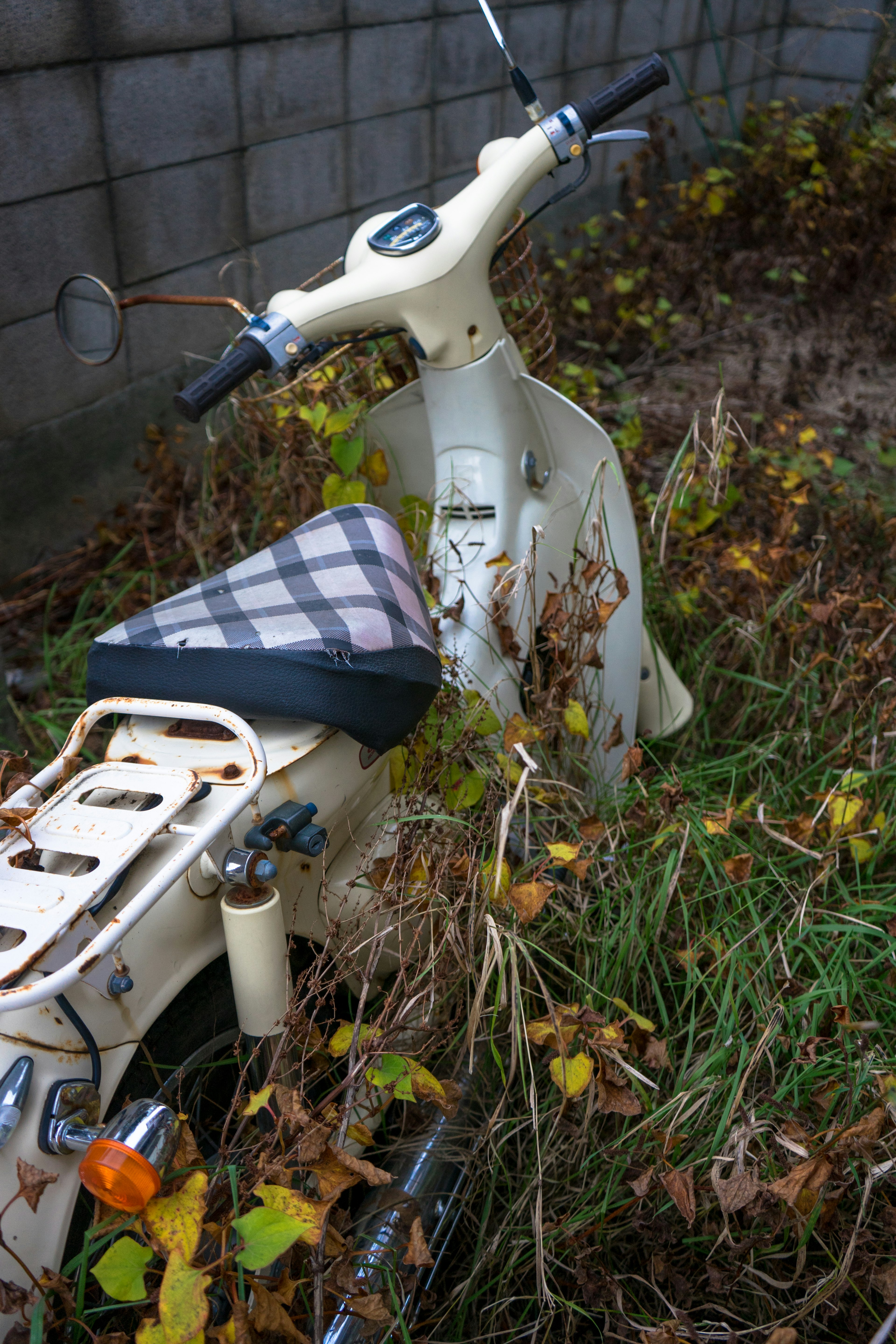 An old white scooter partially covered in grass and leaves