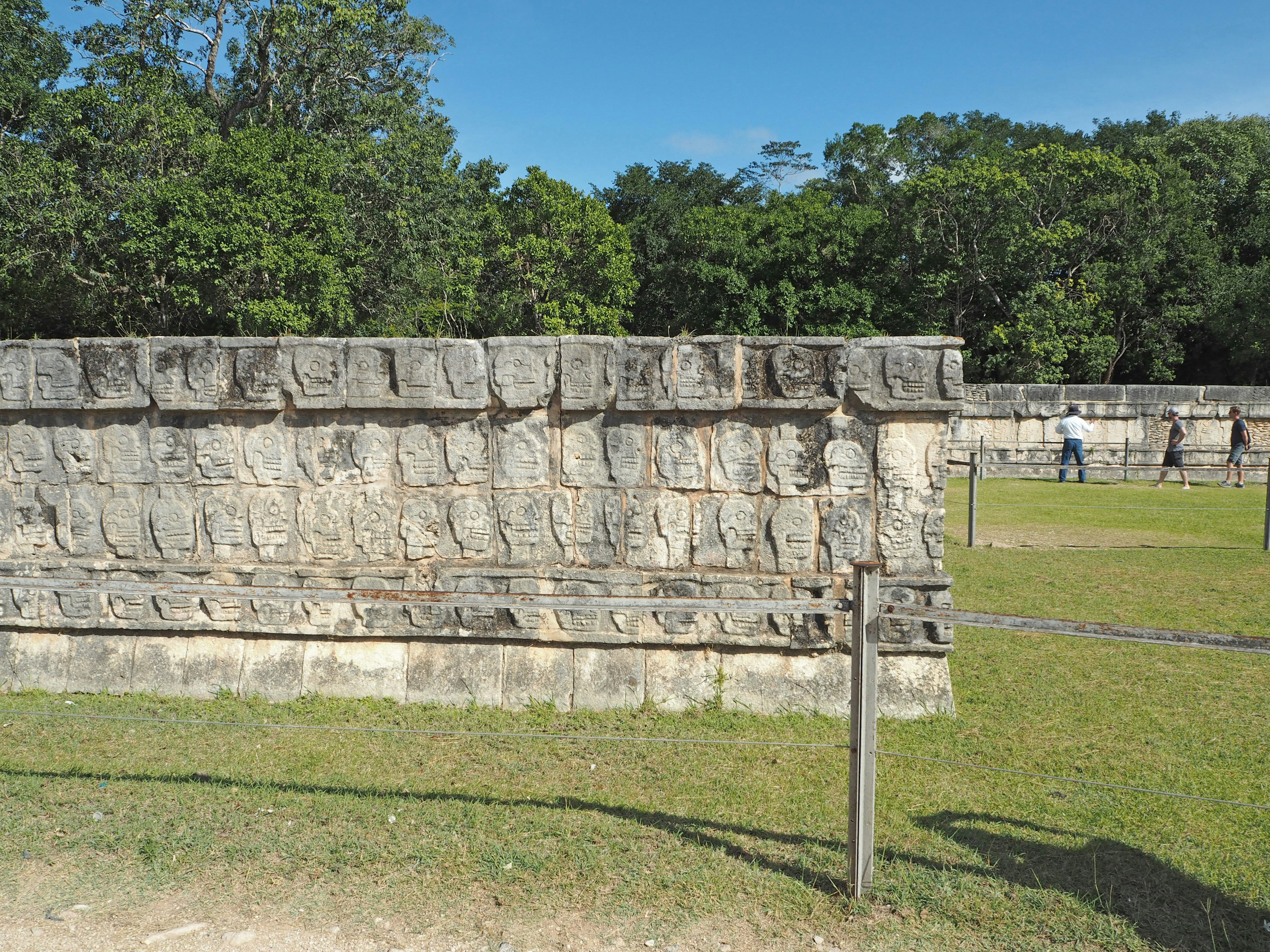 Ancient Mayan stone wall with carvings surrounded by green grass