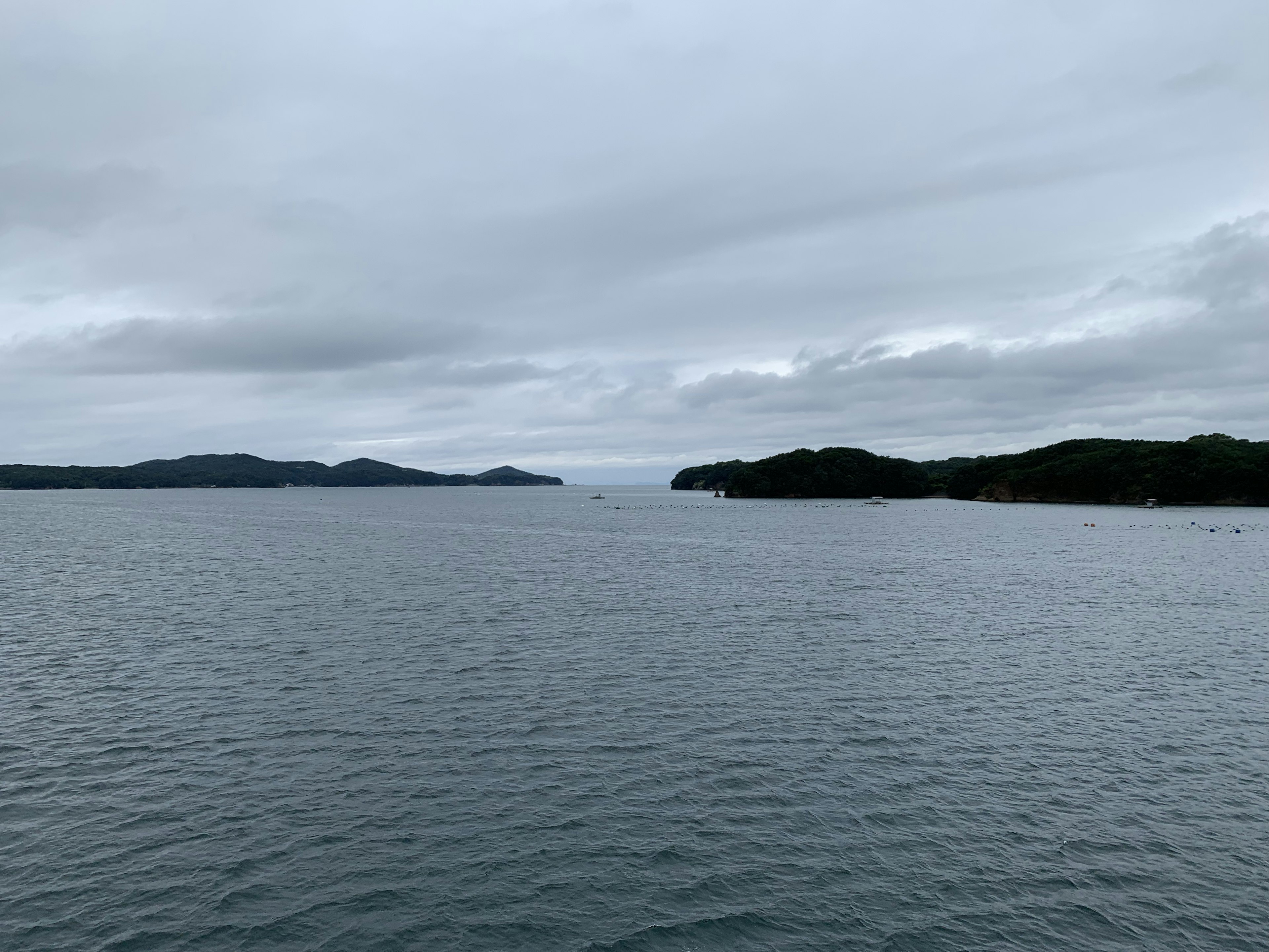 穏やかな水面と曇り空の海の風景