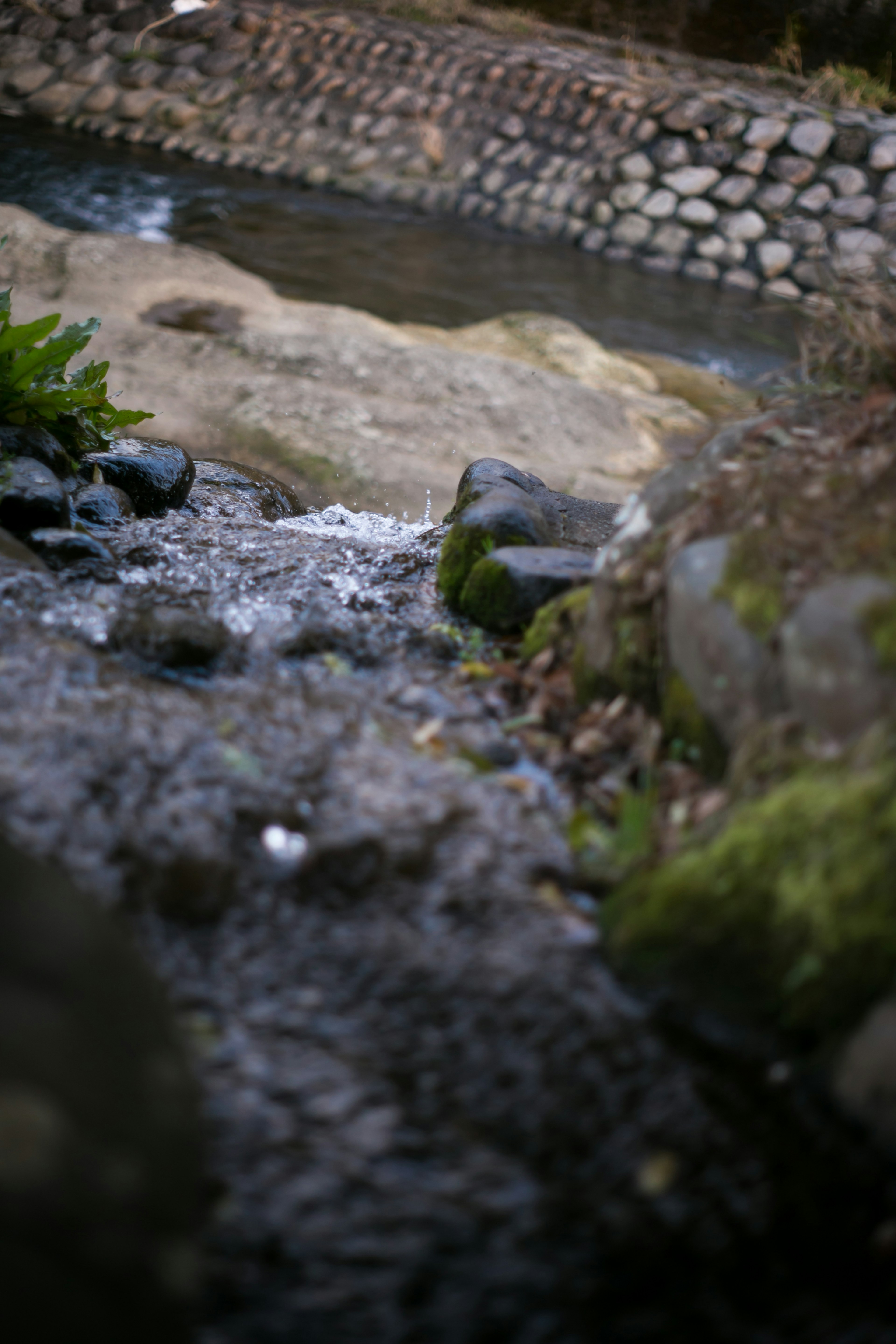 Natural landscape featuring a stream flowing over rocks with a stone embankment