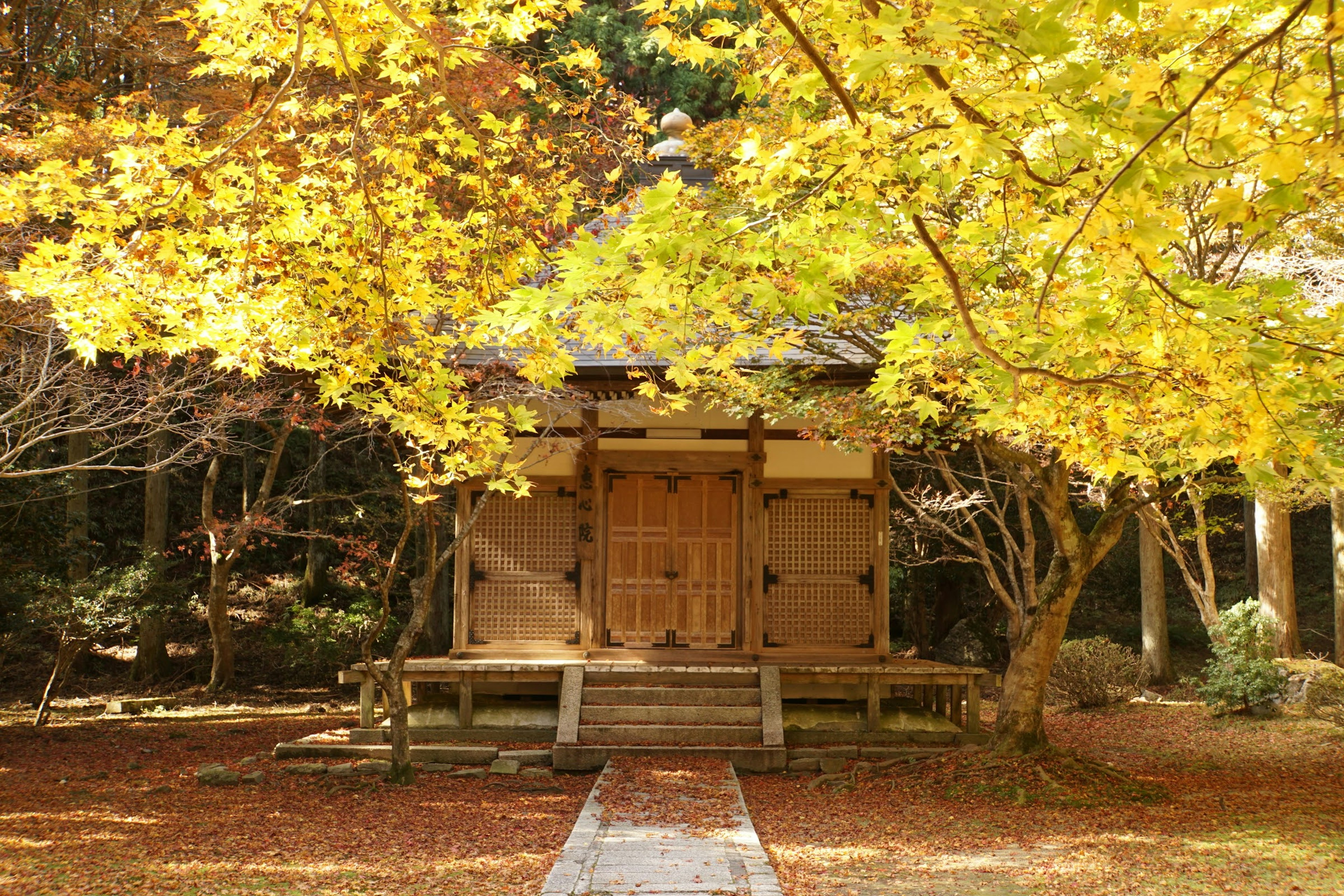 Bâtiment traditionnel japonais entouré de feuillage d'automne