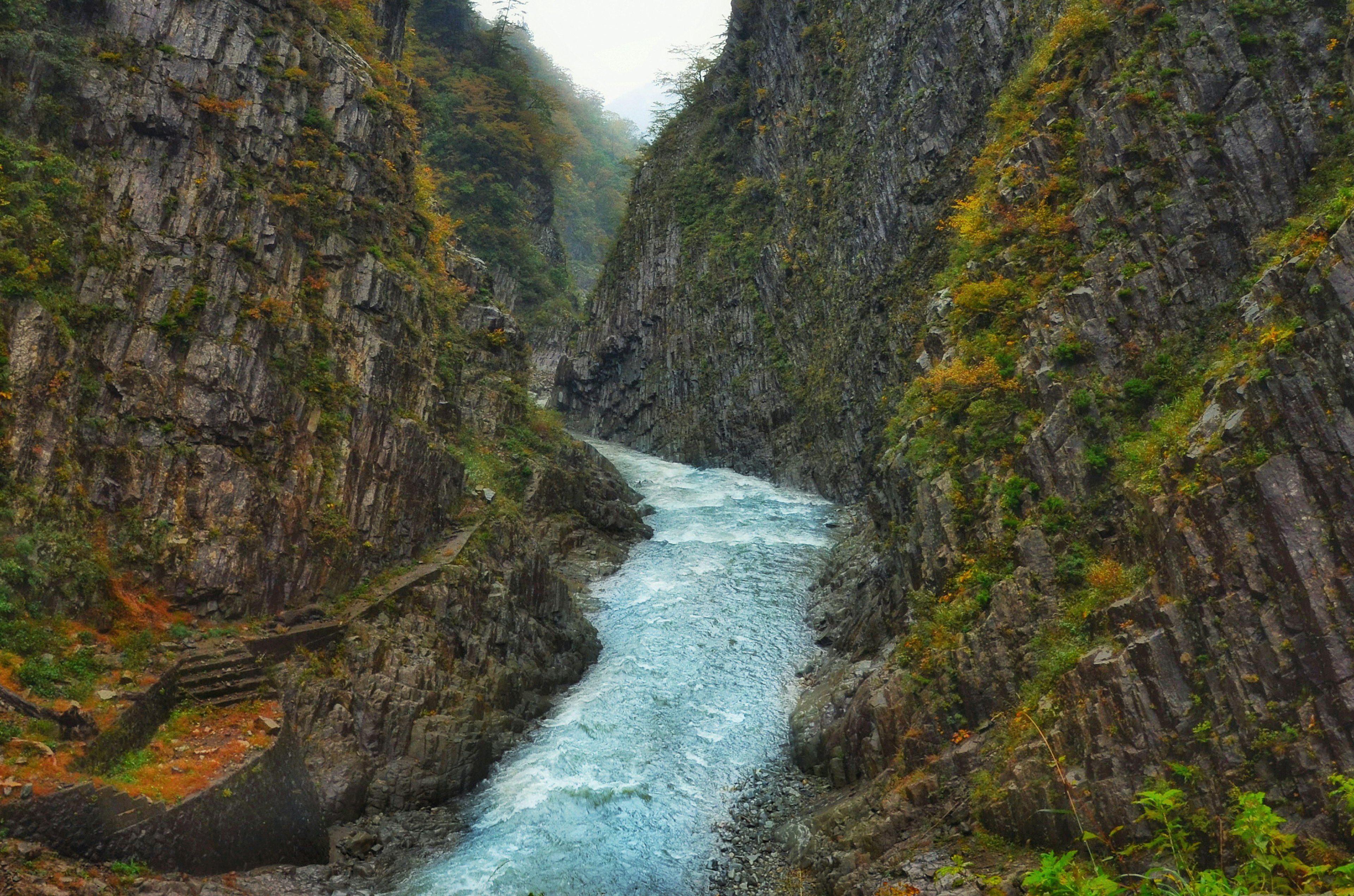 美しい渓谷と流れる川の風景 緑の草木に囲まれた岩の壁