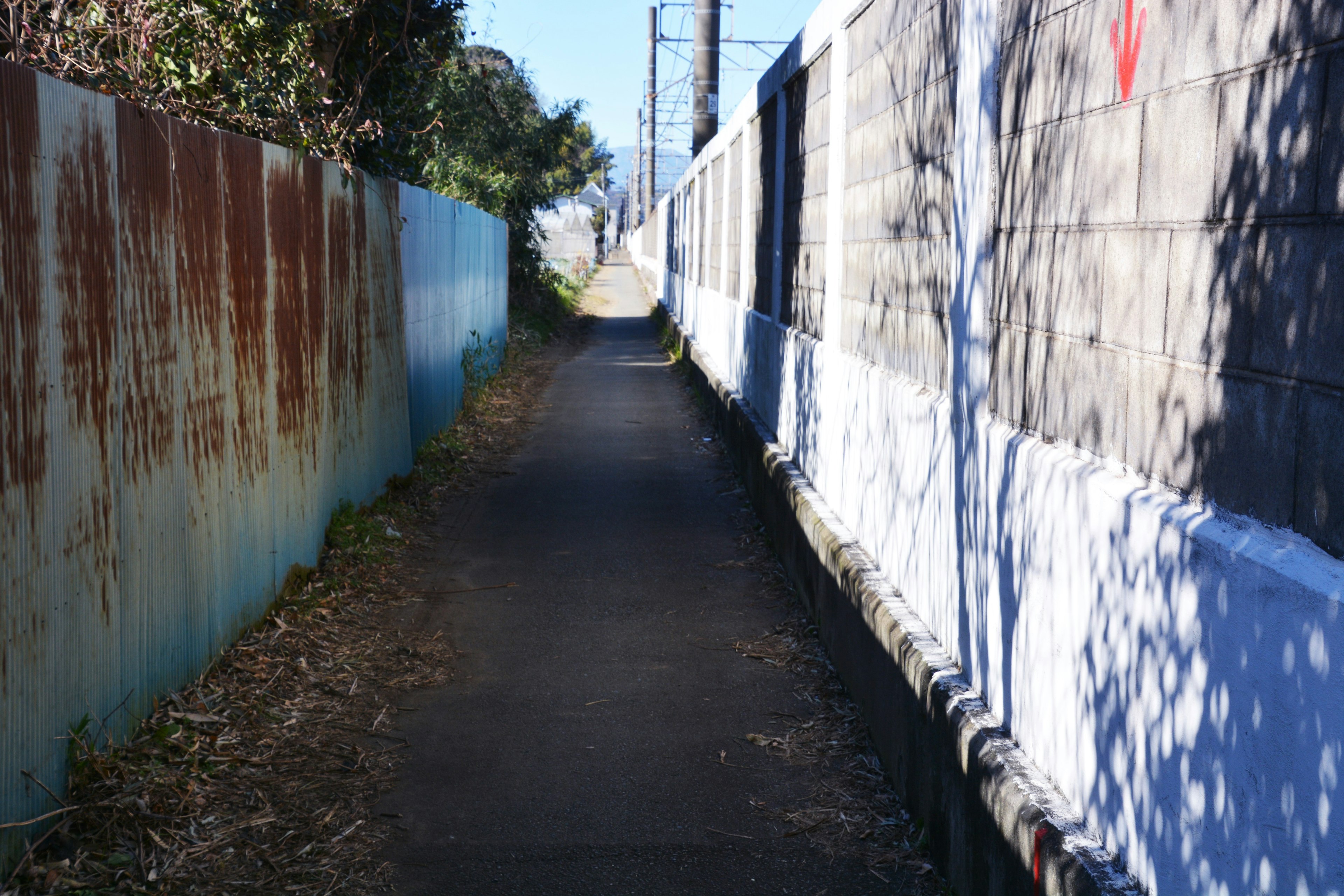 Narrow pathway bordered by old fences and shadows