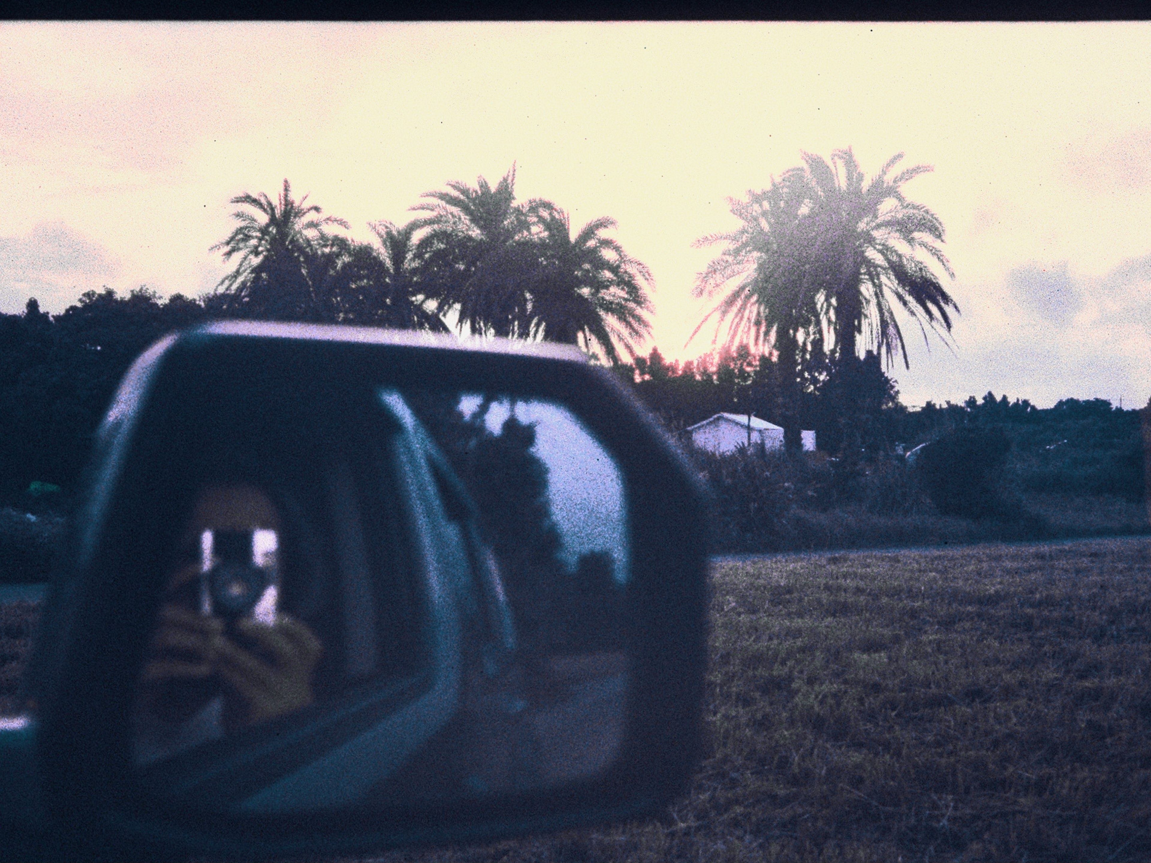 Reflection in a car side mirror showing palm trees and sunset