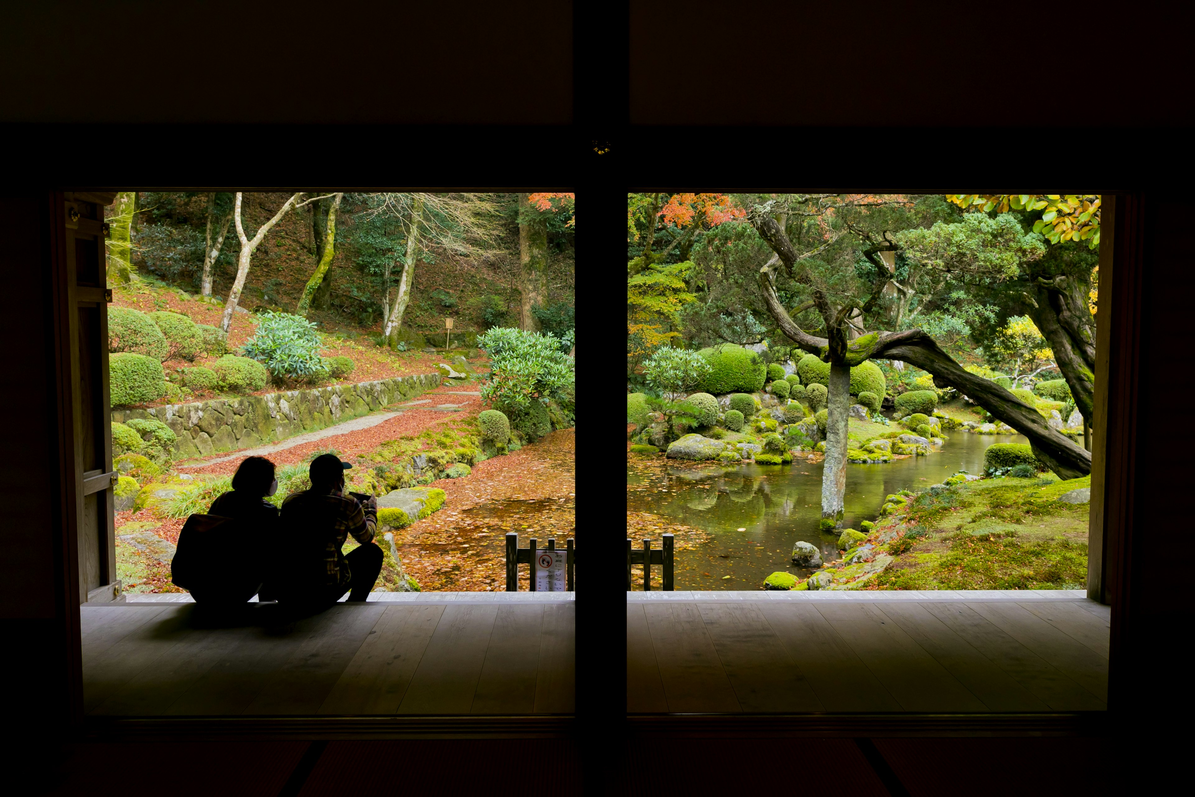 Silhouette of two people overlooking a serene garden with greenery