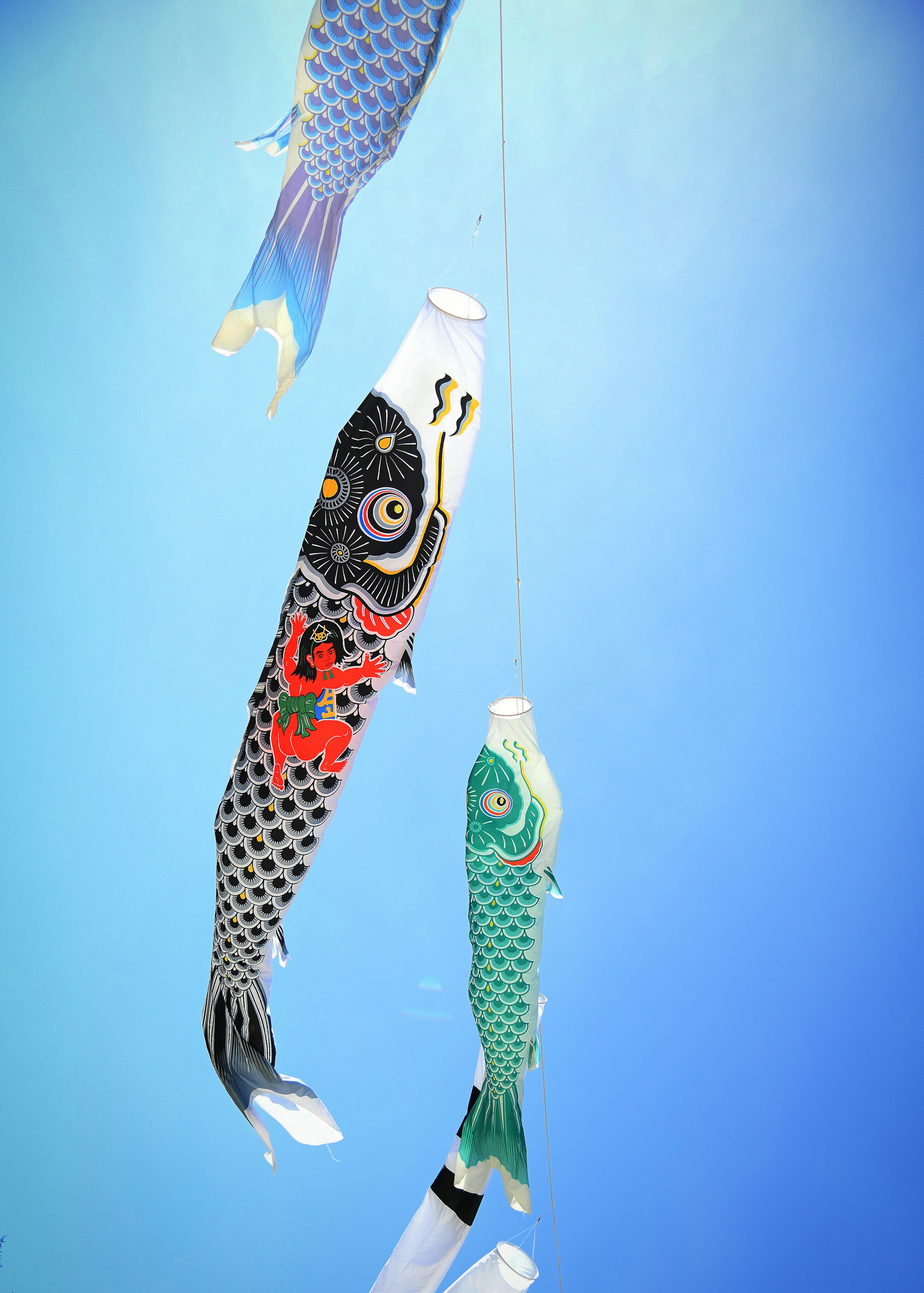 Decorative koi nobori hanging against a blue background