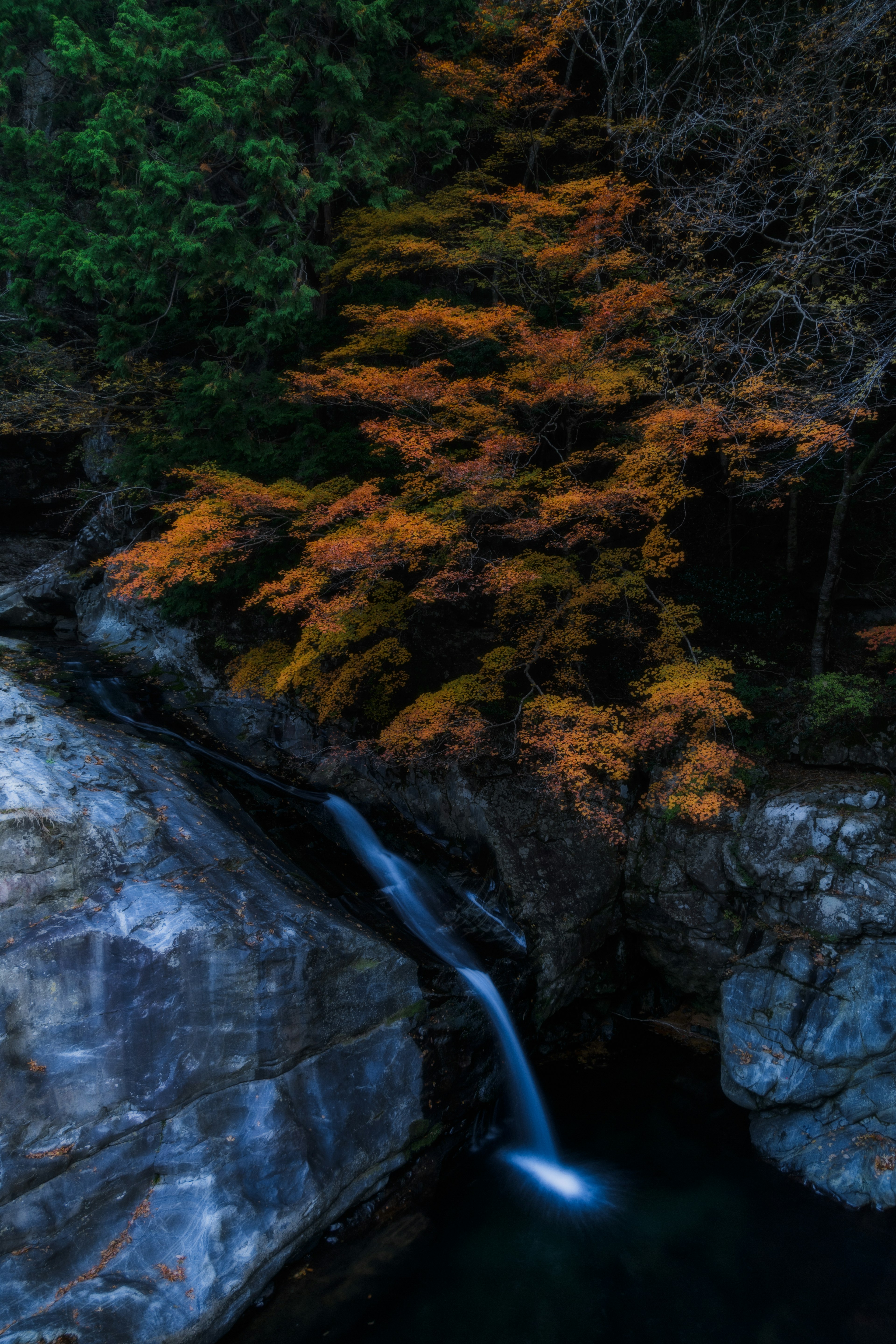 Una cascada serena que fluye entre un vibrante follaje otoñal