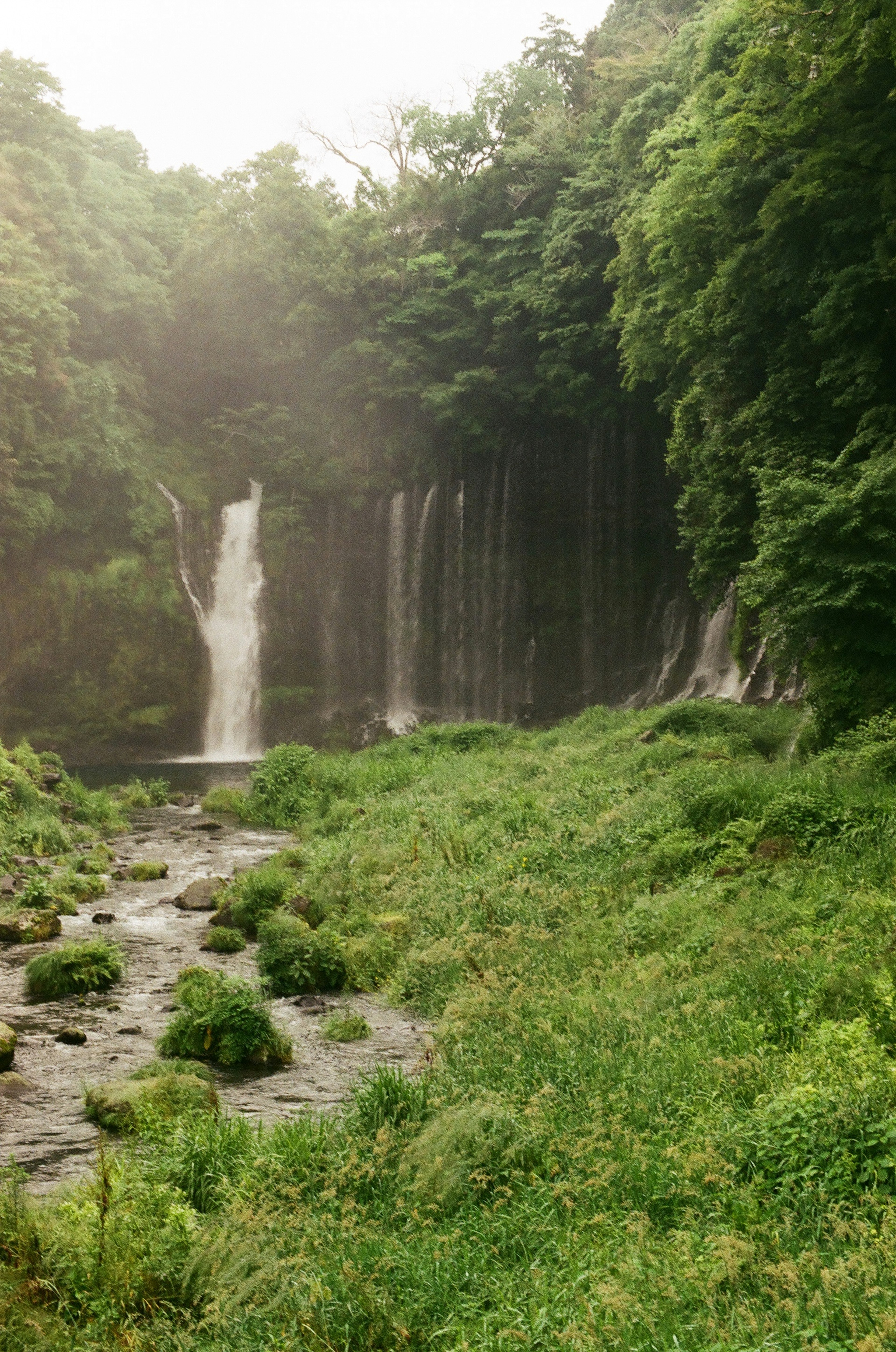 緑豊かな森に囲まれた美しい滝と川の風景