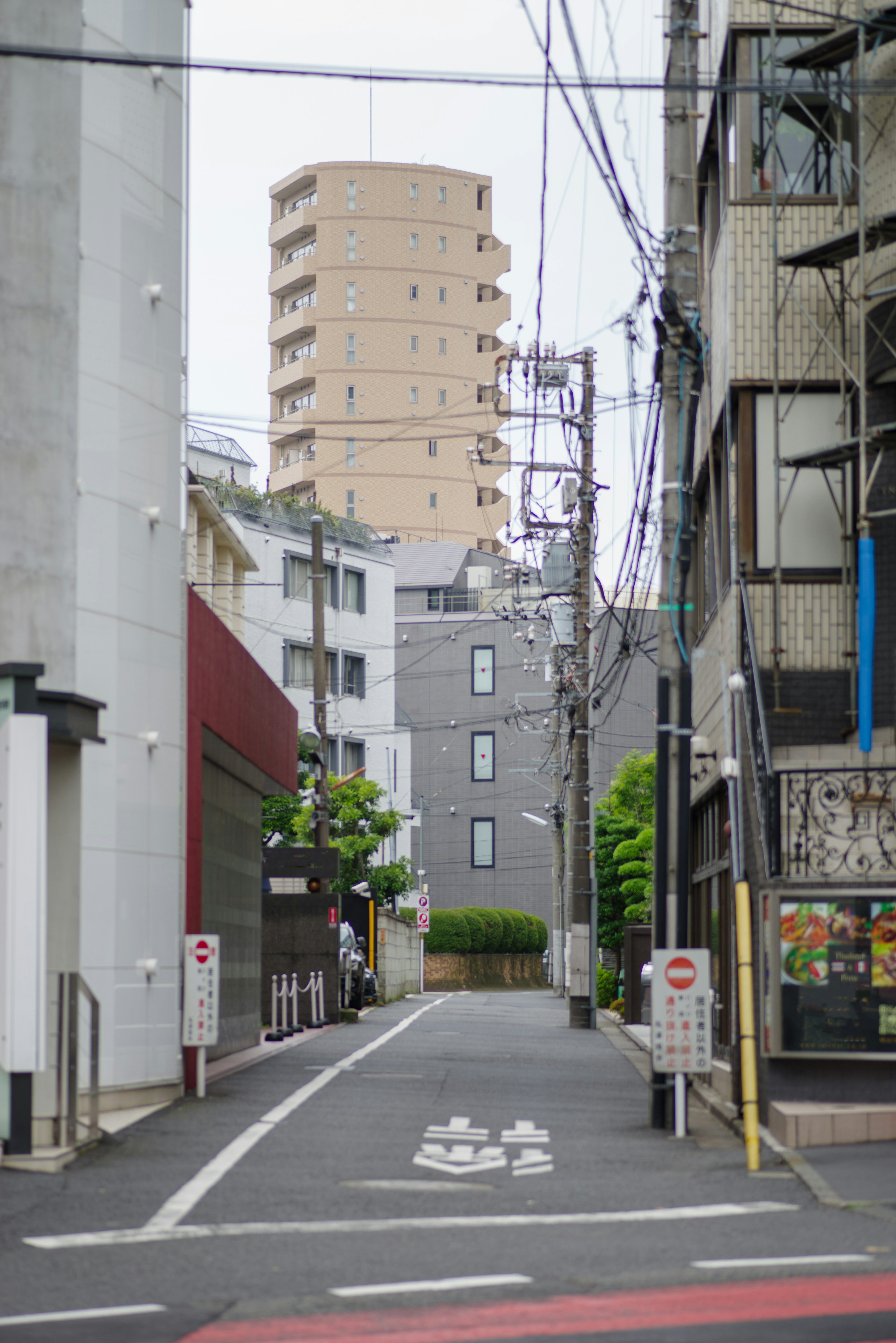 Quiet street with green trees and a tall building in the background