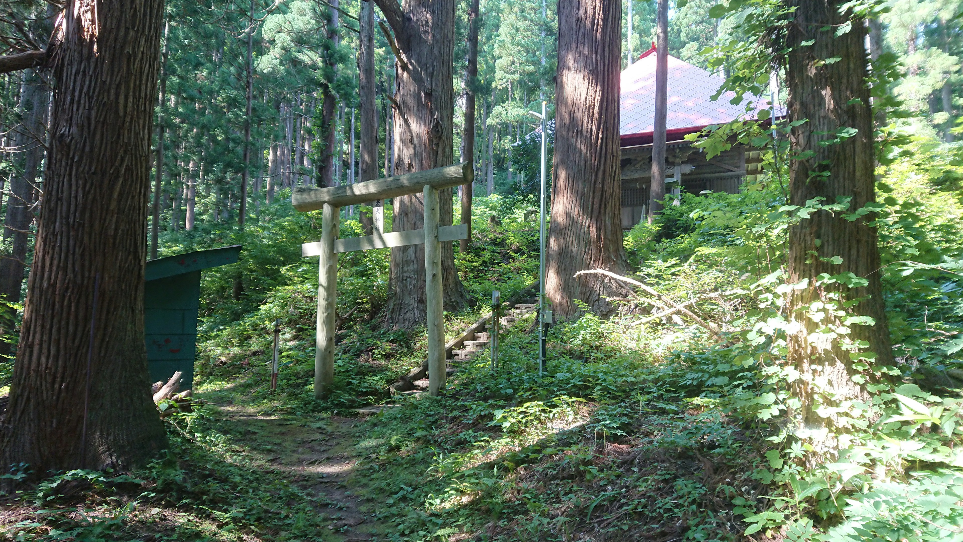 A path leading to a cabin in a lush green forest