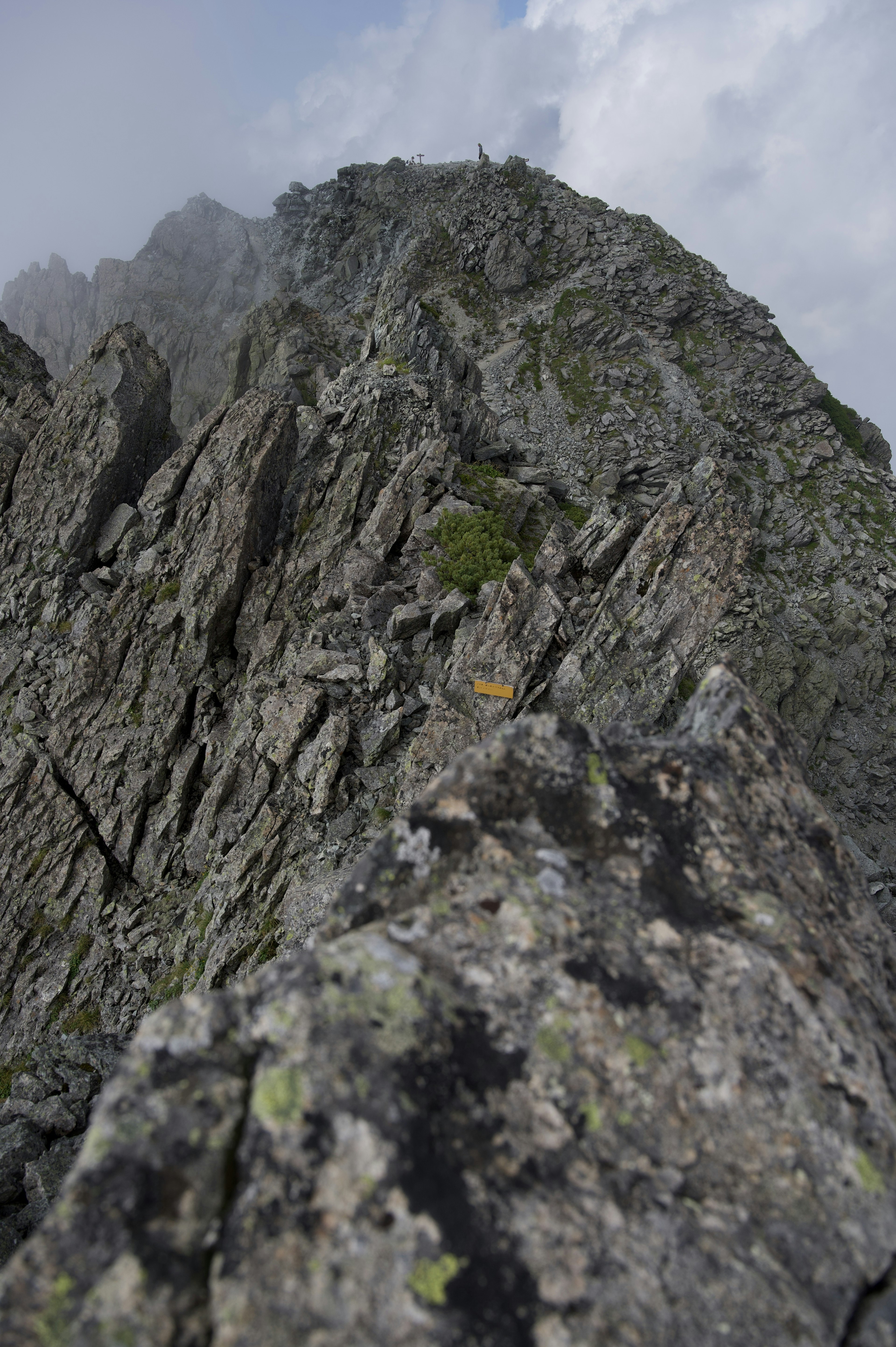 A rugged mountain peak shrouded in mist