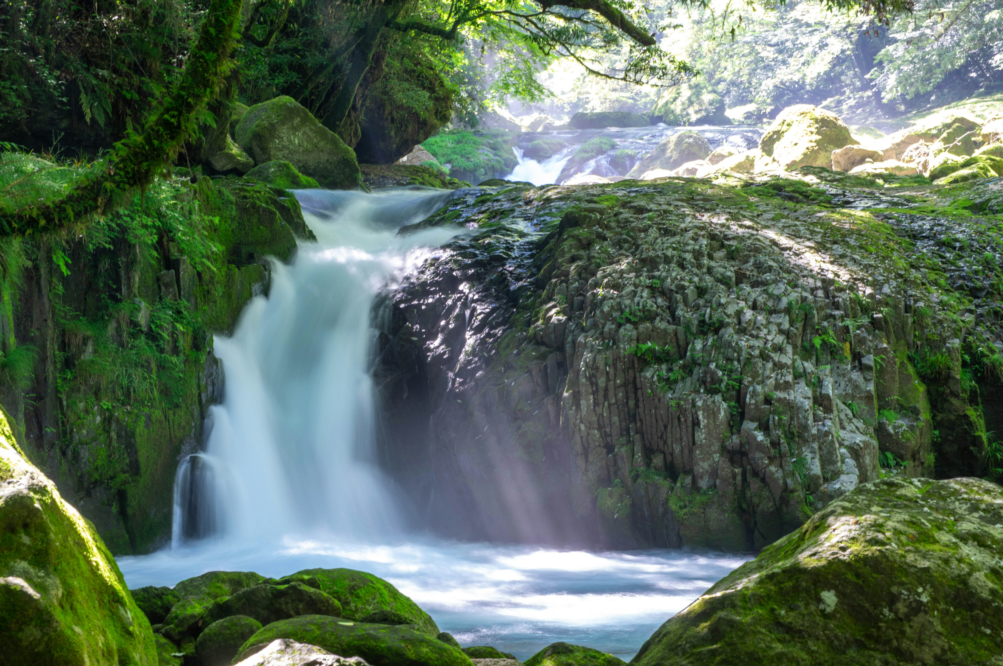 A beautiful waterfall surrounded by lush greenery and flowing water