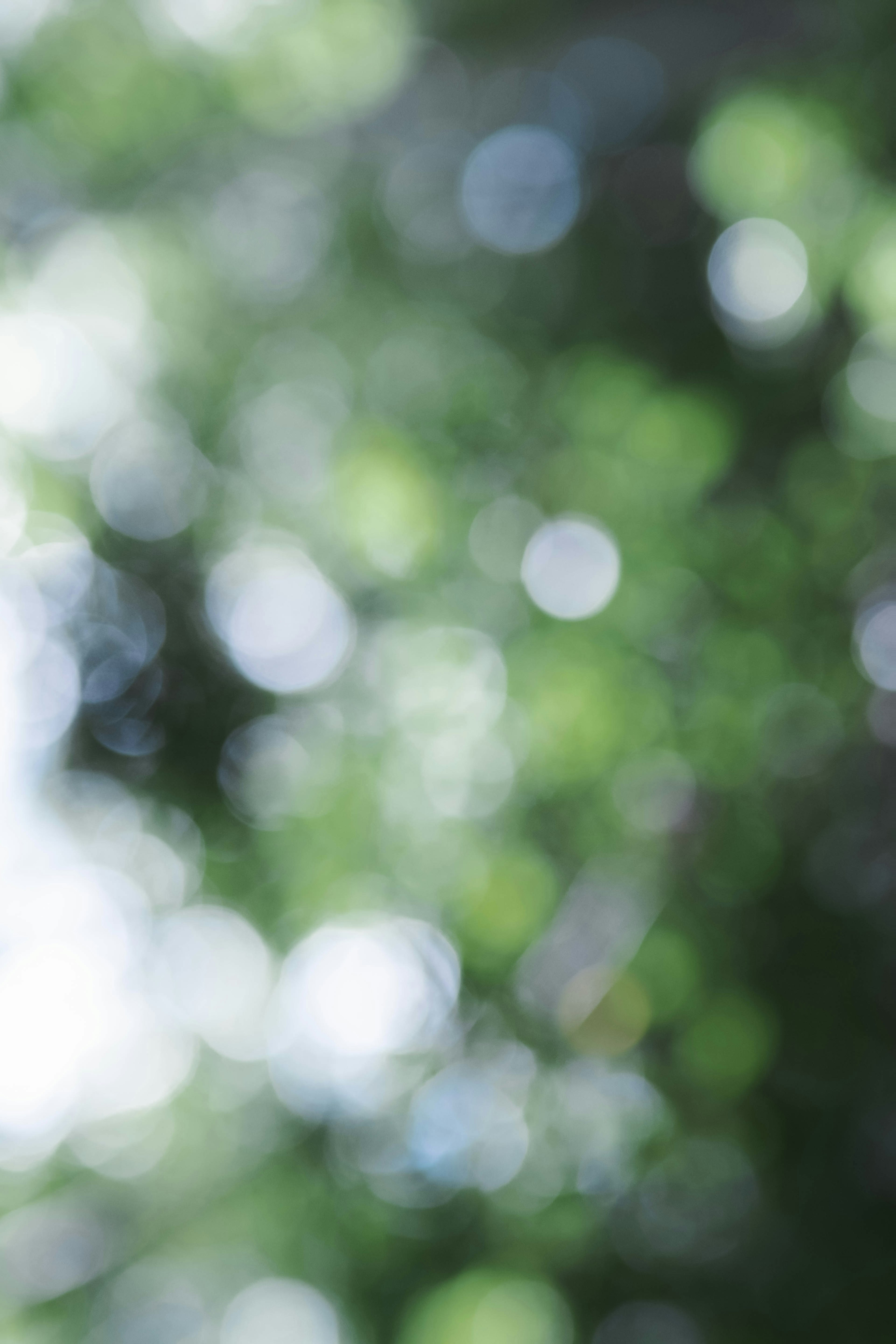 Immagine impressionistica di uno sfondo verde sfocato con orbe di luce fluttuanti