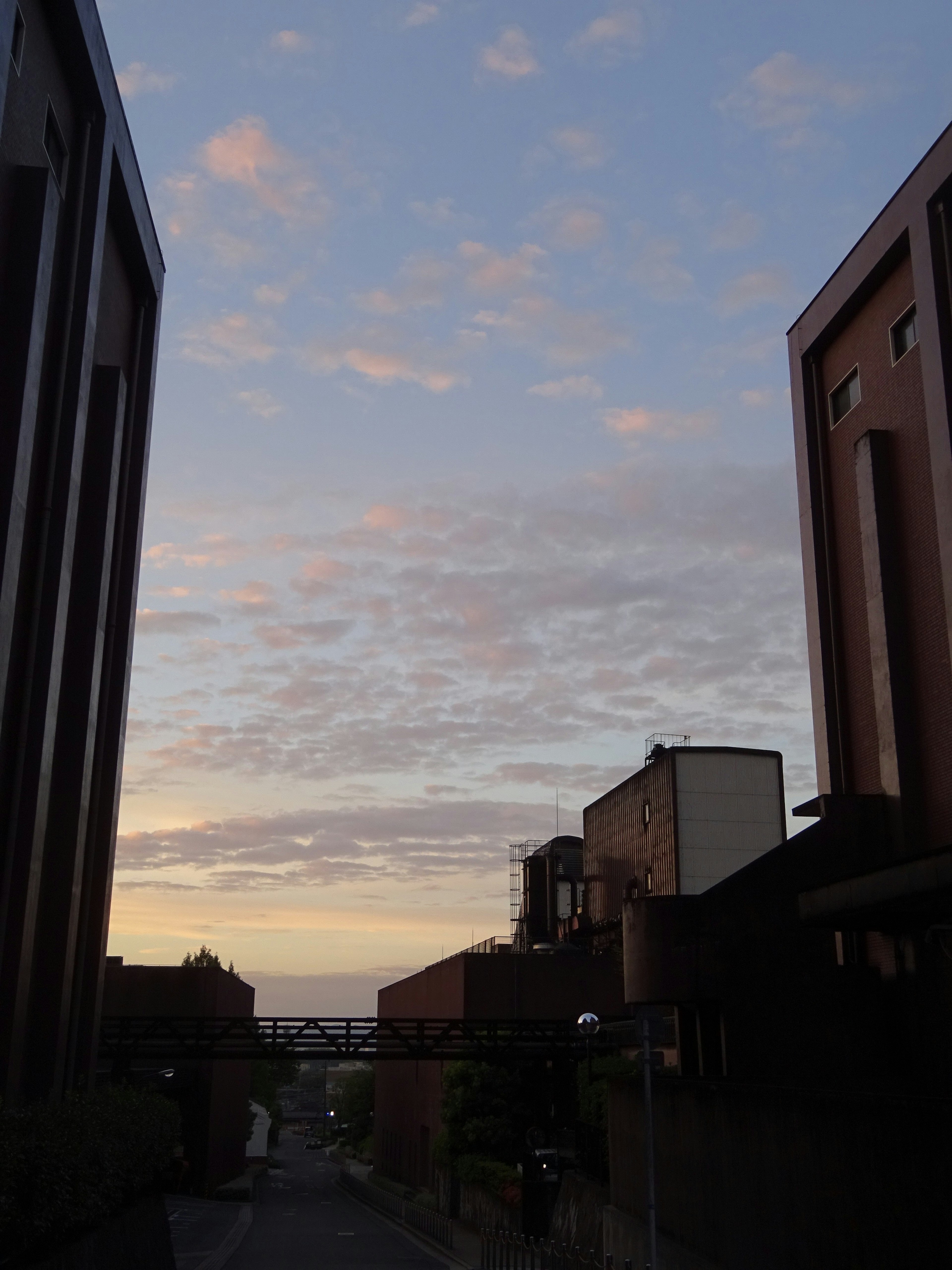 Vue de rue avec ciel de coucher de soleil et bâtiments