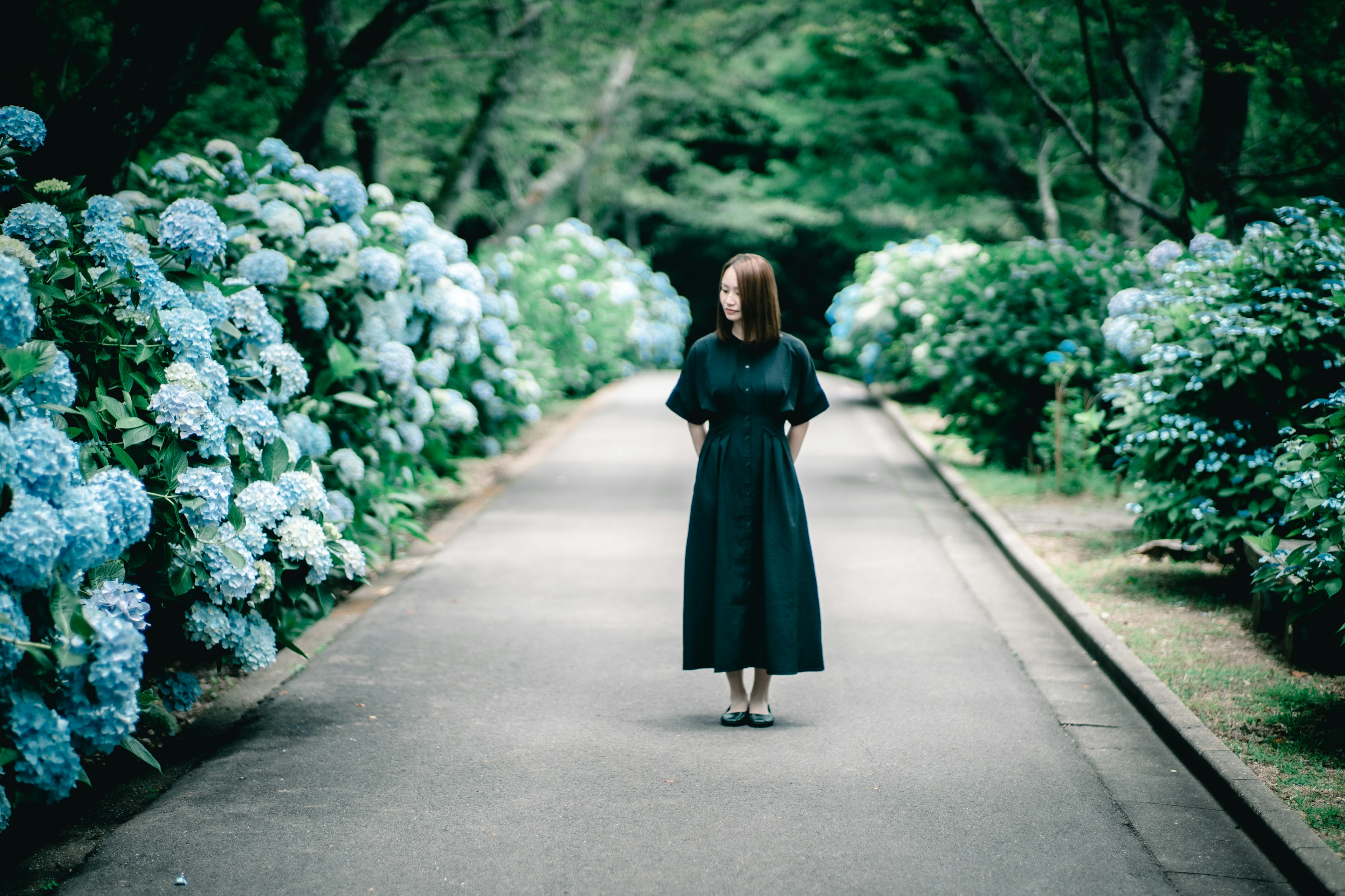 青い紫陽花に囲まれた黒いドレスの女性が静かに立っている