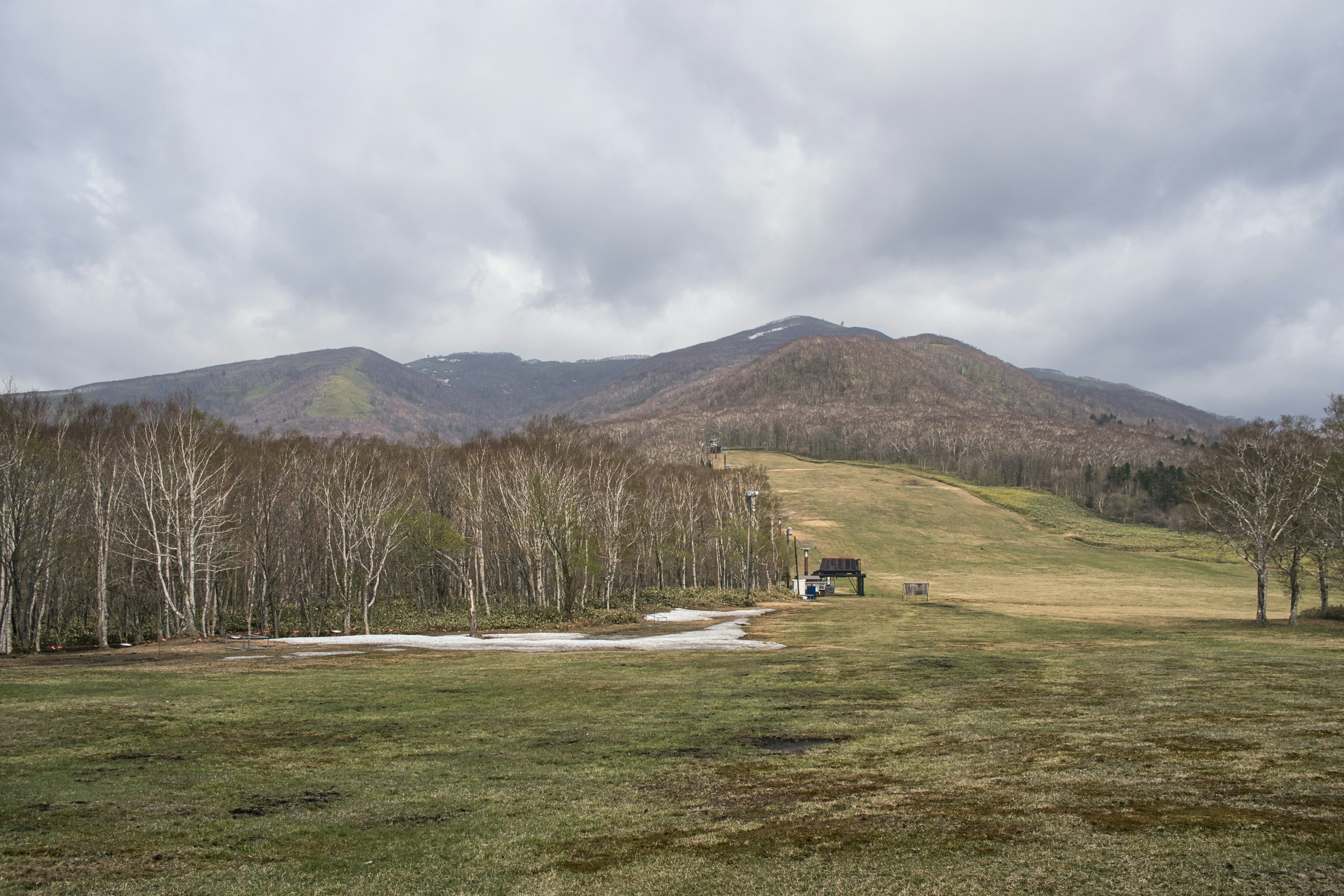 山脈和白樺樹的草地風景