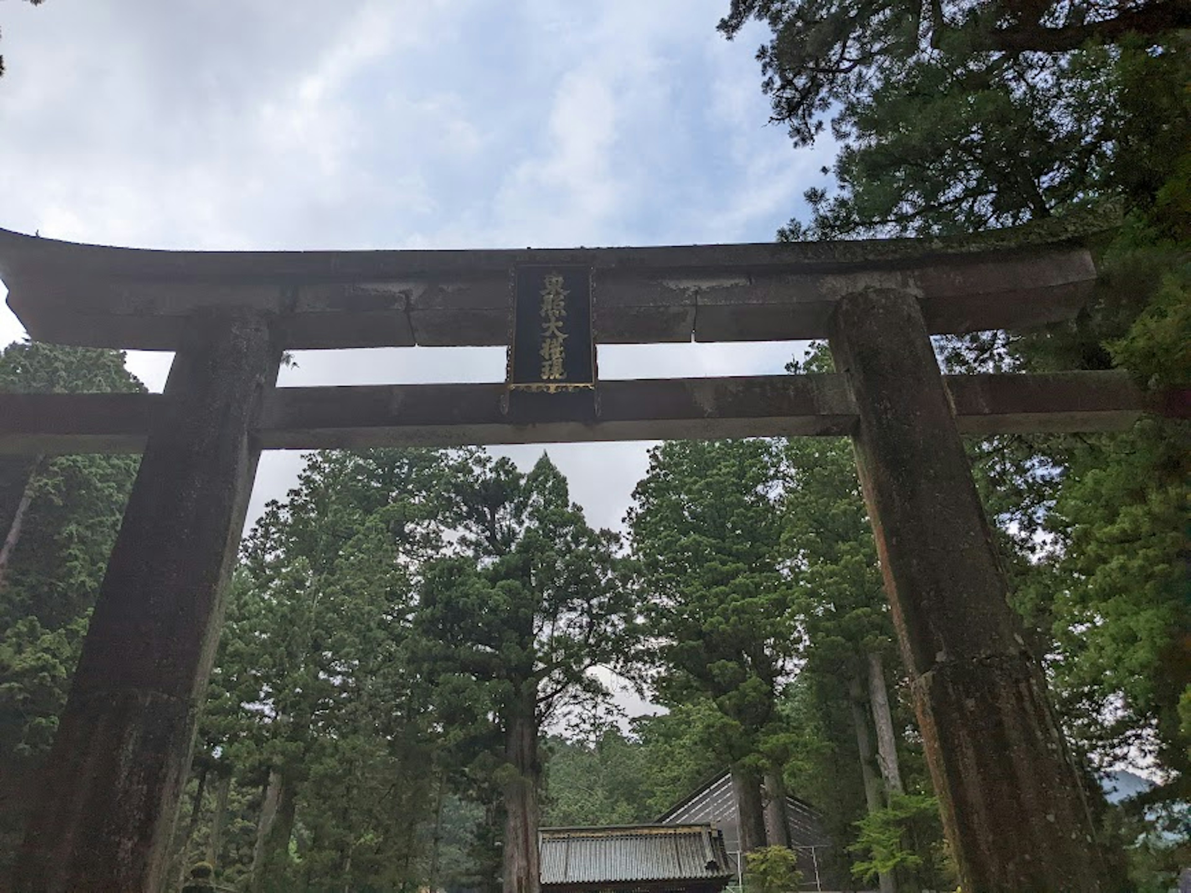 Wooden torii gate with lush green trees