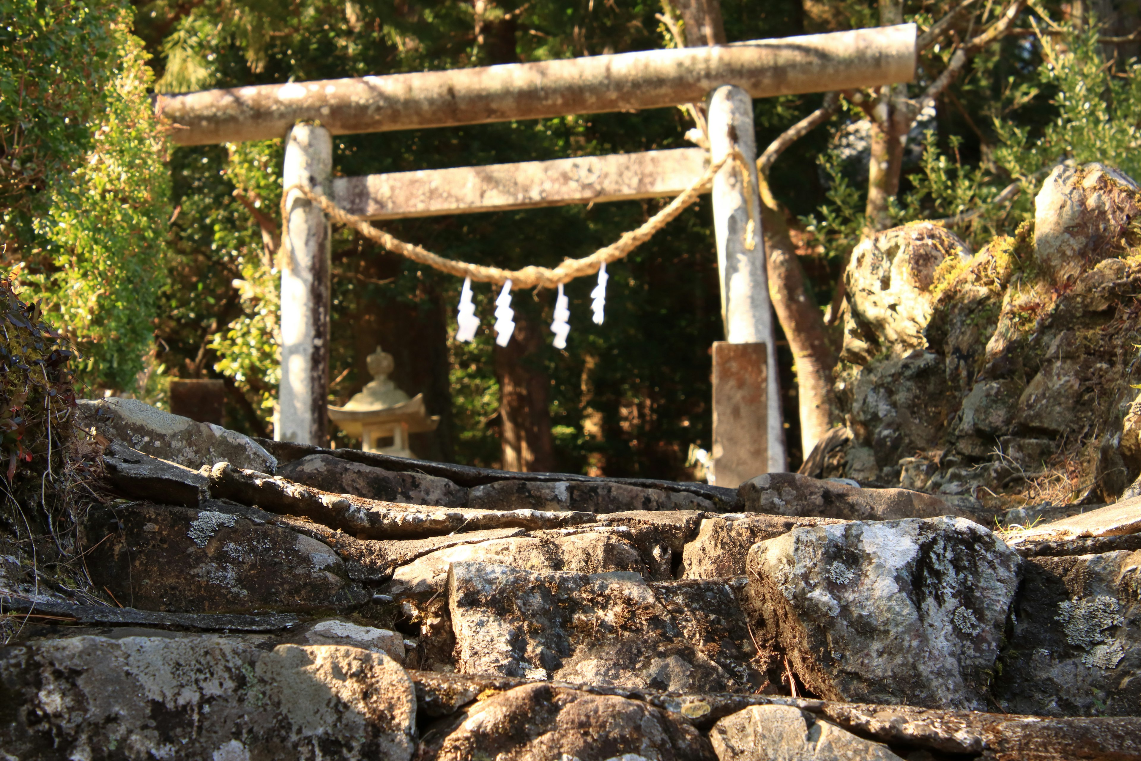 Puerta torii de madera entre rocas con shimenawa colgado