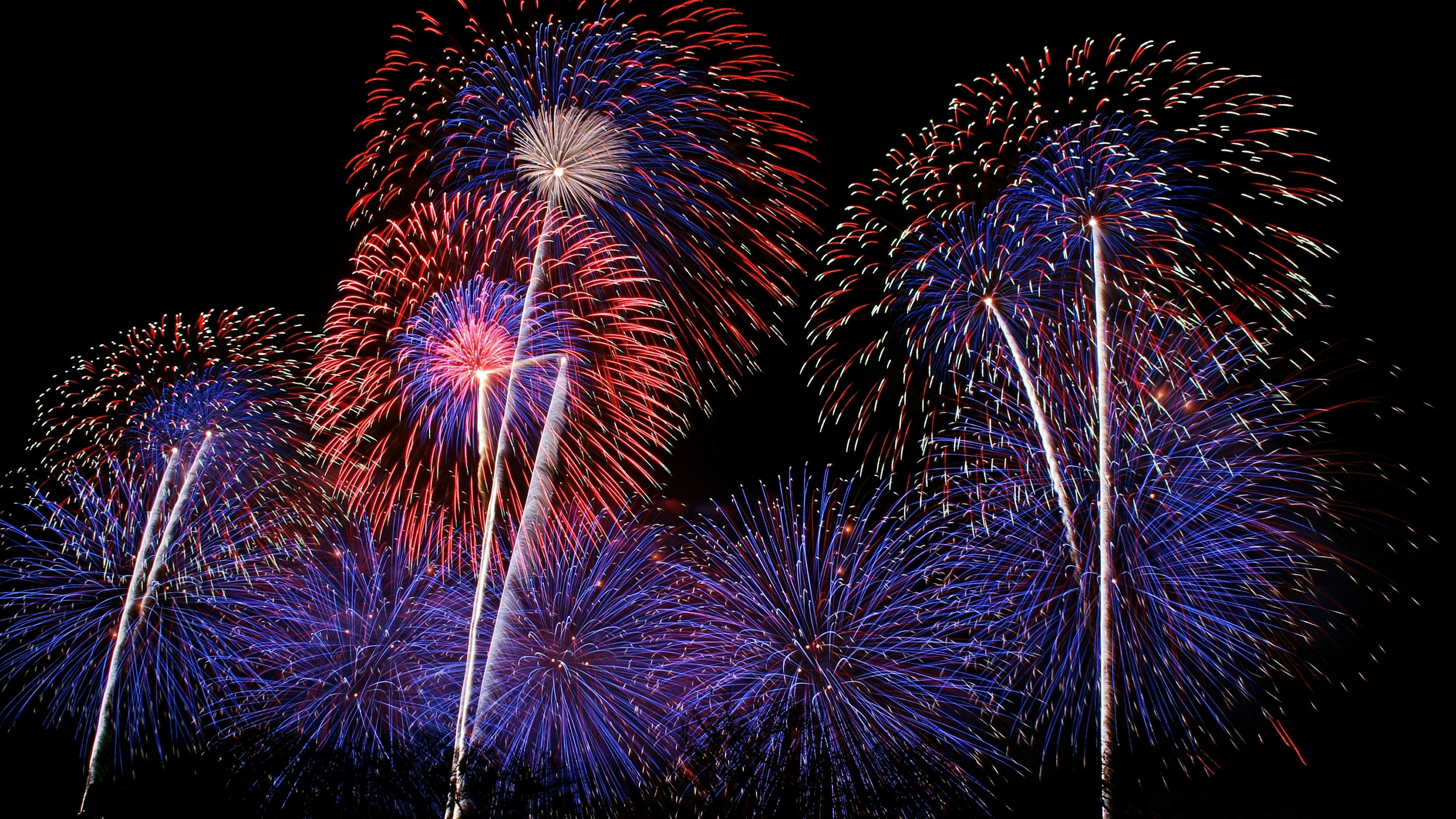 夜空に広がる色とりどりの花火のショー