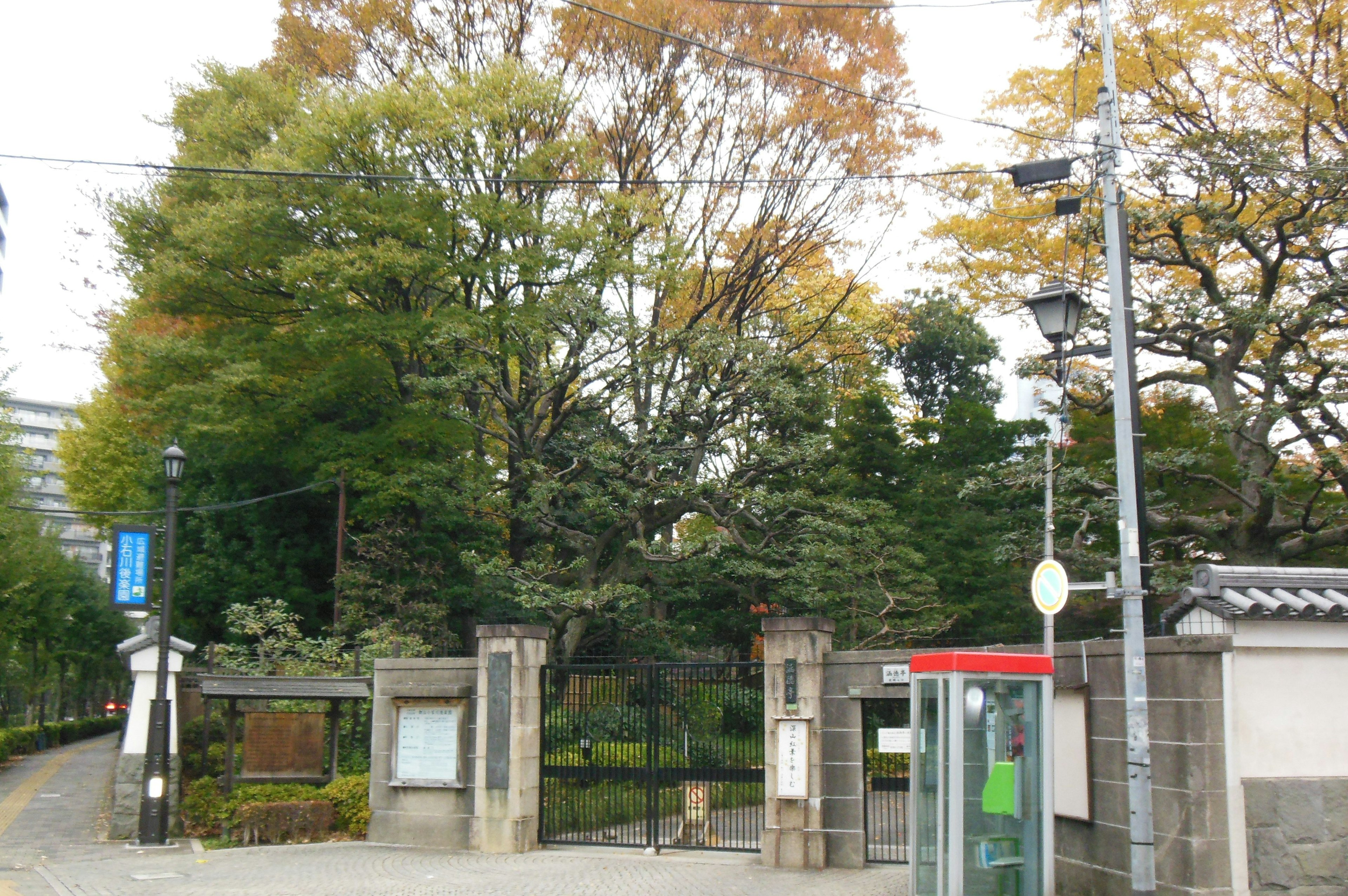 緑豊かな木々に囲まれた公園の入り口 秋の色合いが見える