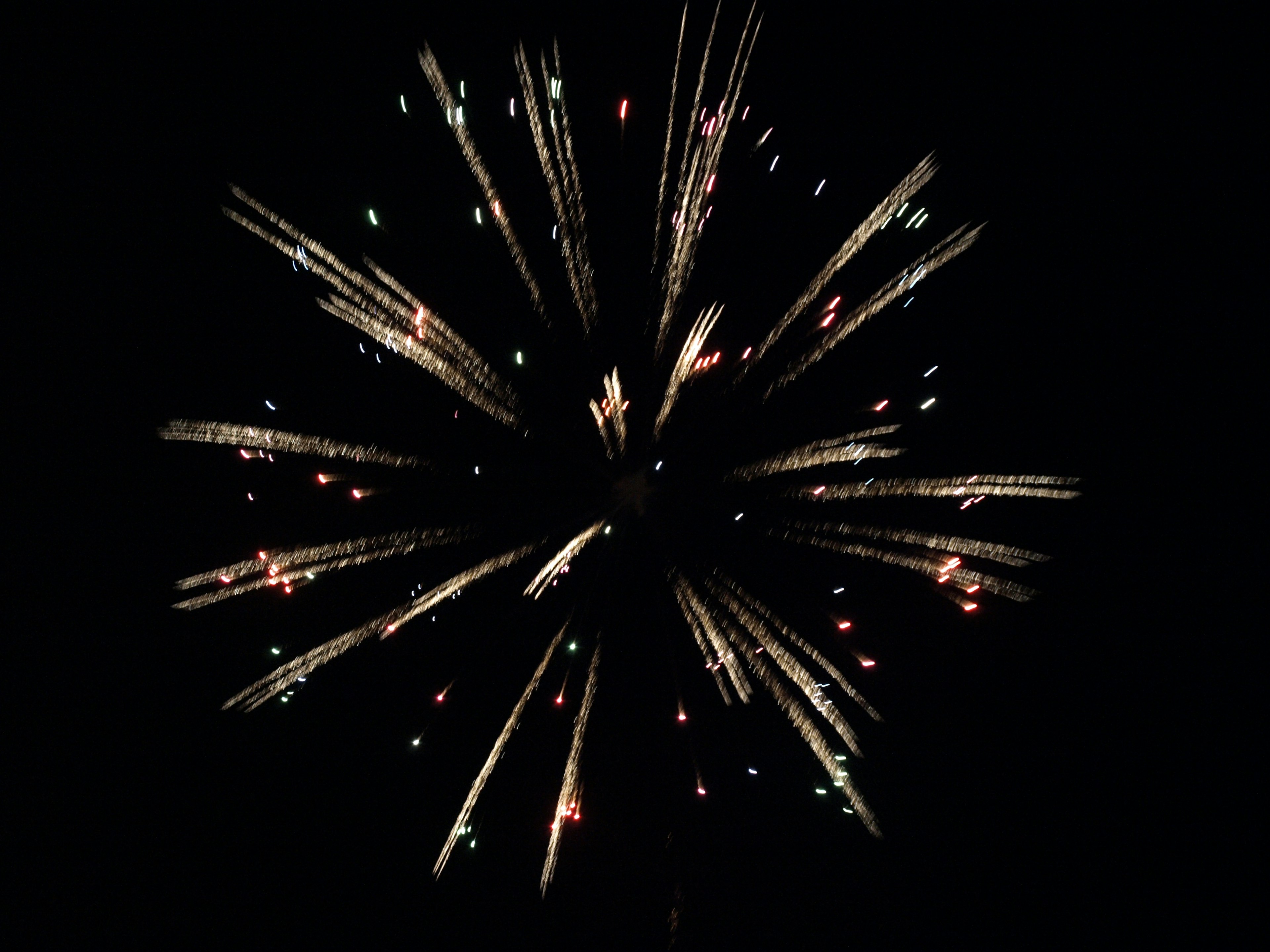 Firework explosion against a black background