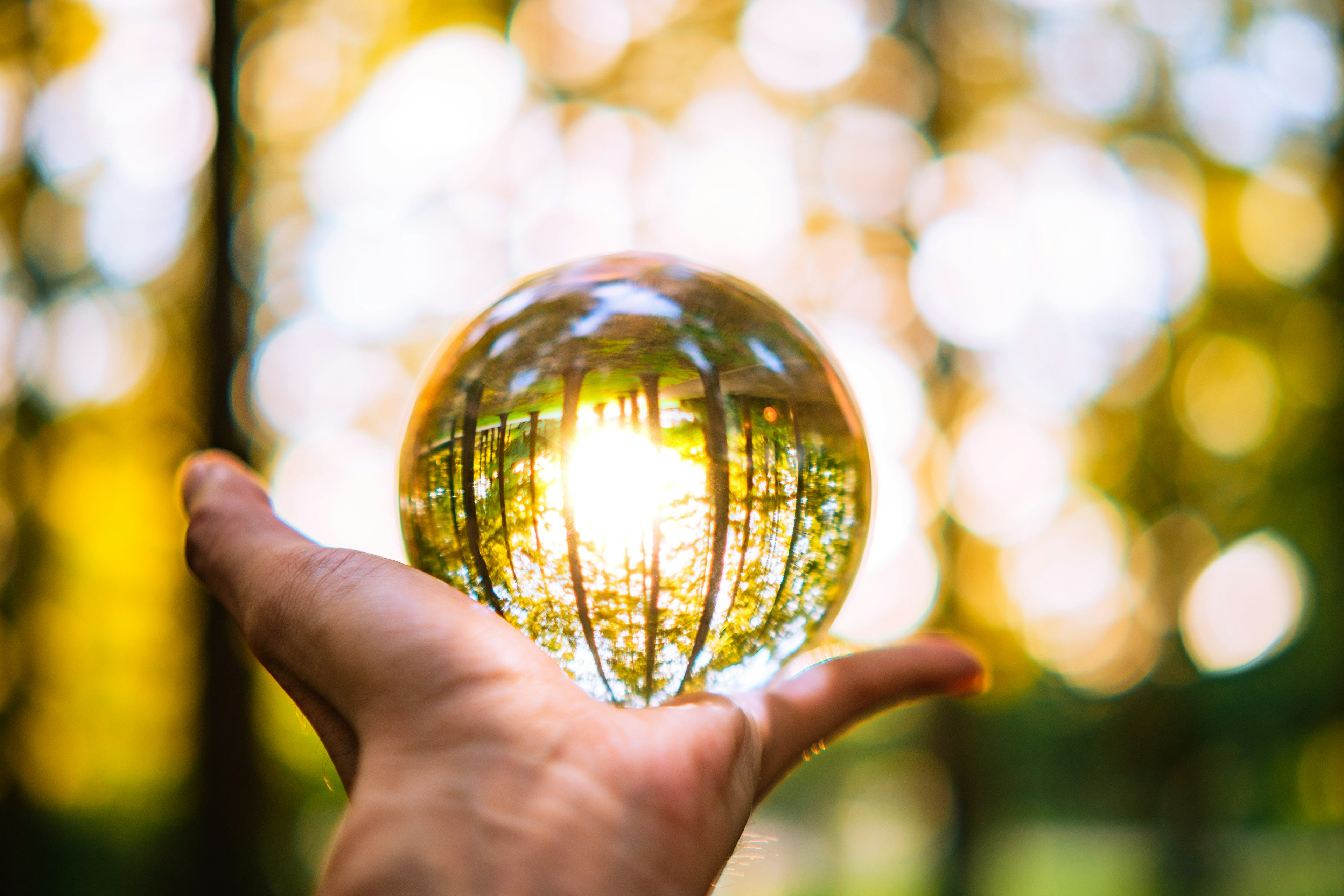 A transparent crystal ball held in a hand reflecting the surrounding forest and light