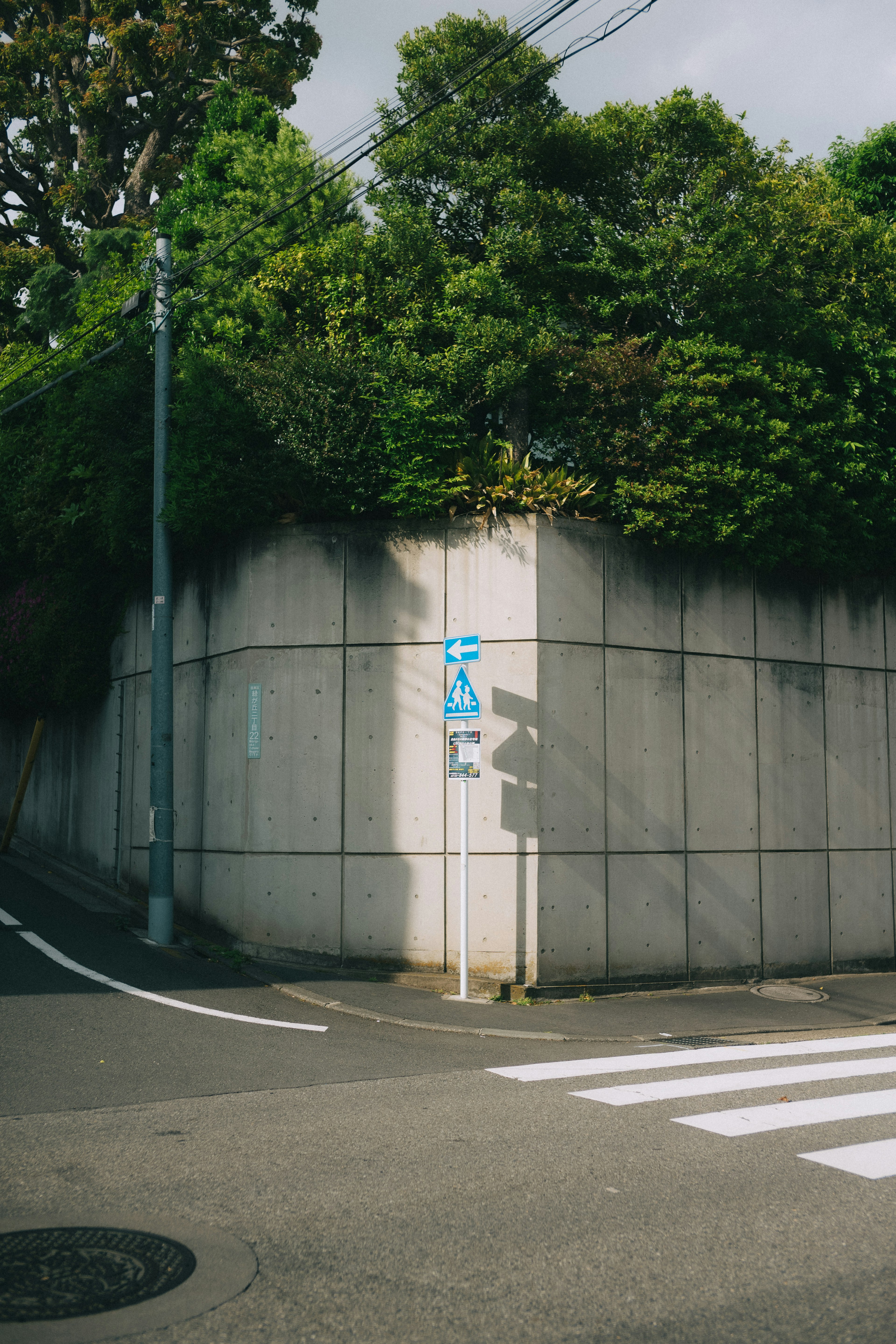 Blaues Schild an der Ecke einer Betonmauer, umgeben von Grün