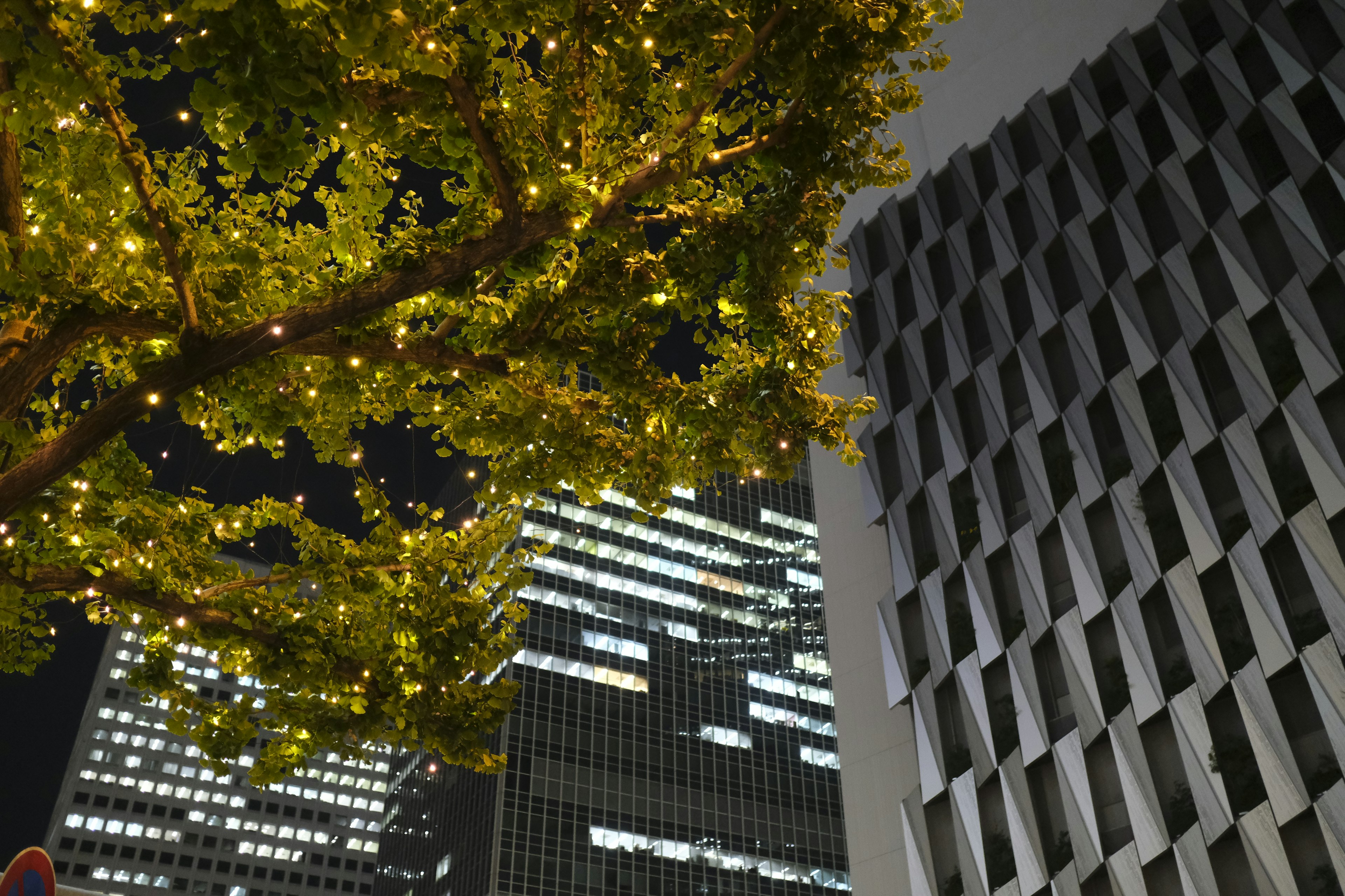 Nächtliche Stadtlandschaft mit beleuchtetem Baum und Hochhäusern