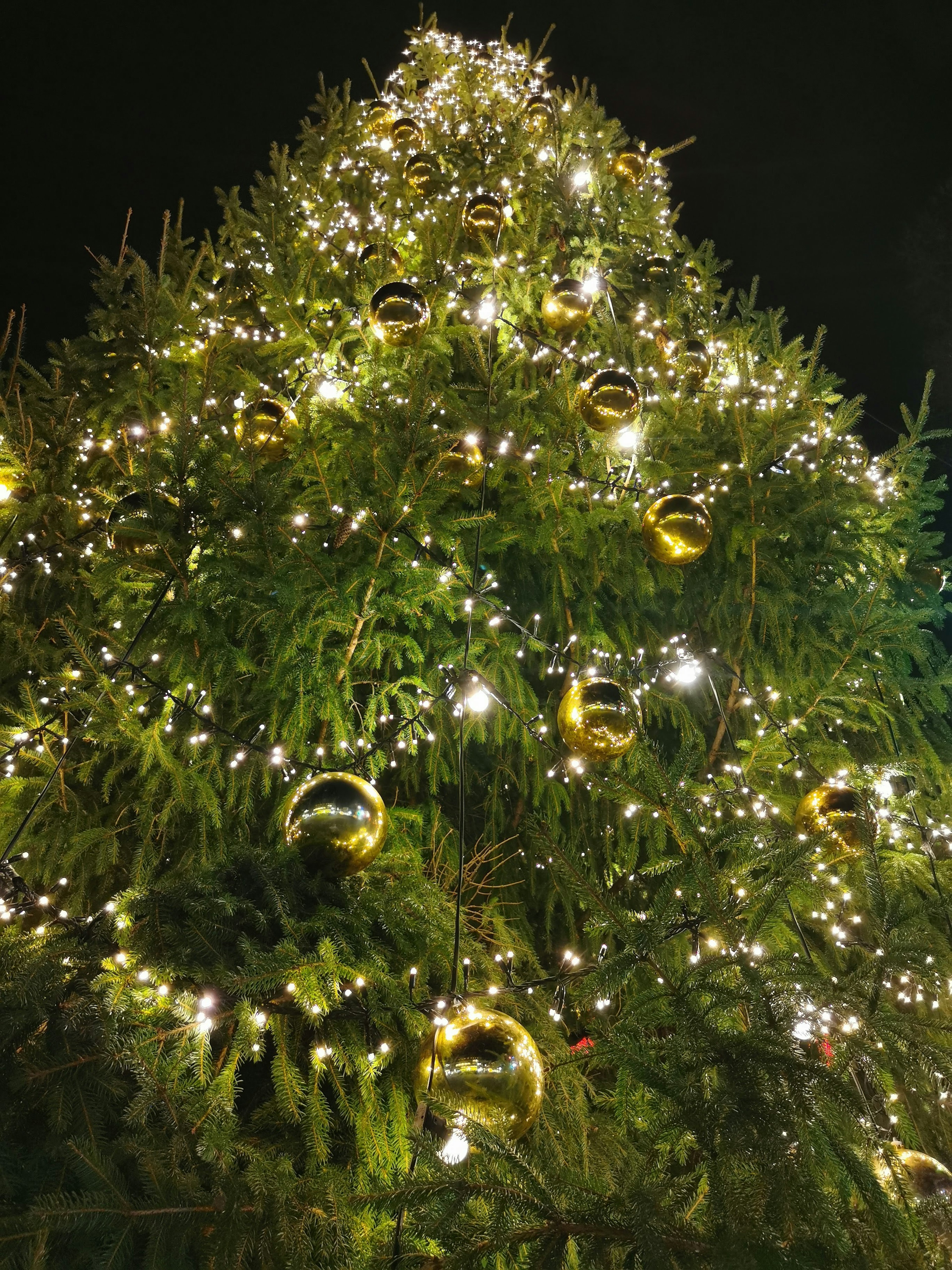 Nahaufnahme eines Weihnachtsbaums, der nachts mit goldenen Ornamenten und hellen Lichtern beleuchtet ist