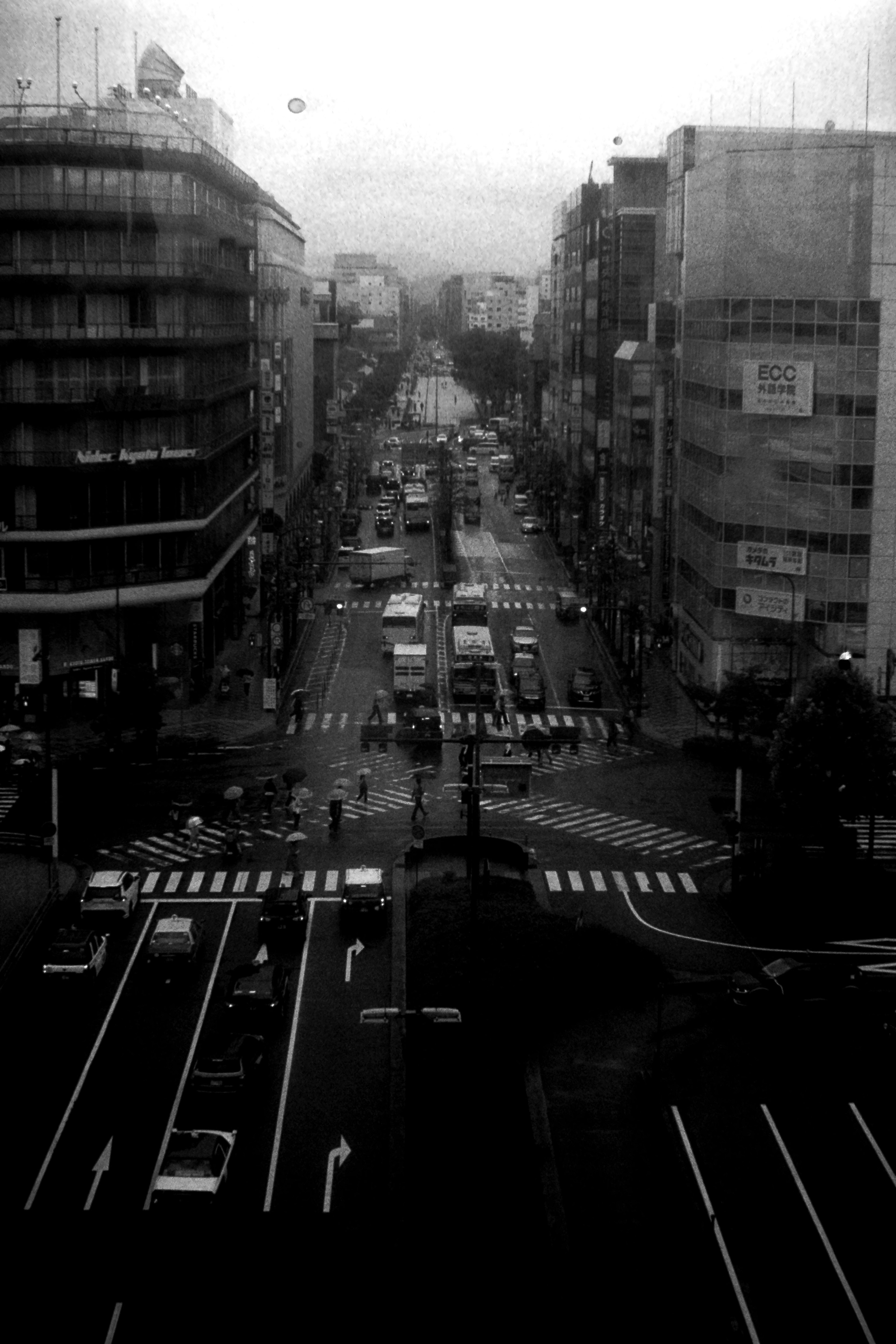 モノクロの都市の交差点の風景 車が通る道と横断歩道が見える