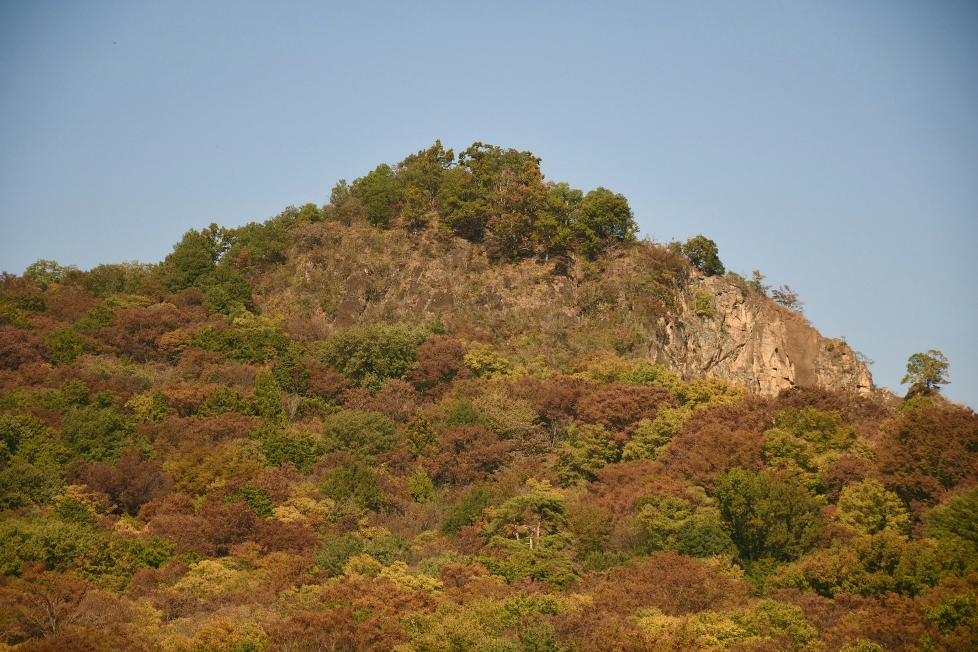 色とりどりの木々に覆われた山の頂上が見える