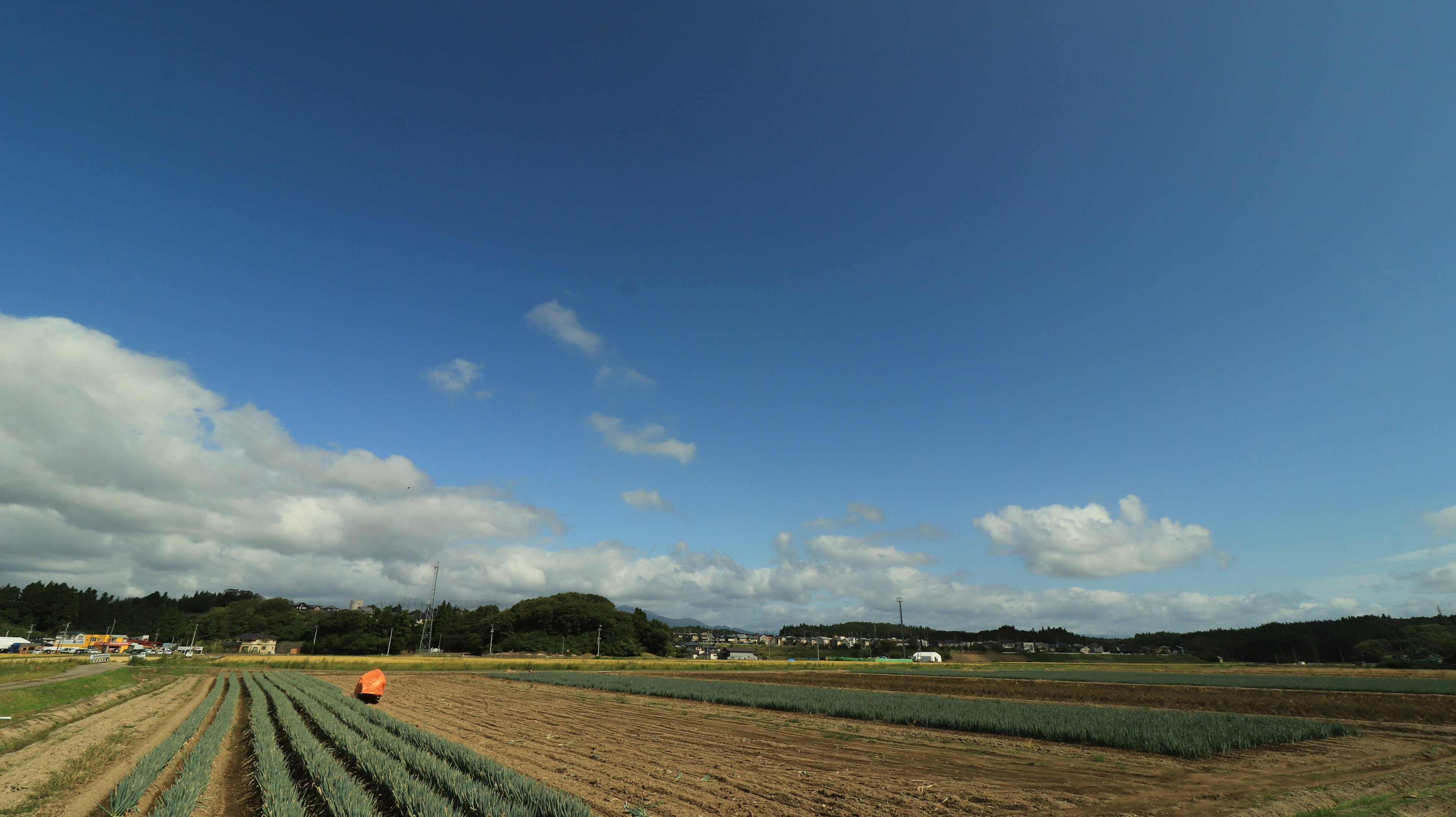 Vast farmland landscape with blue sky and white clouds