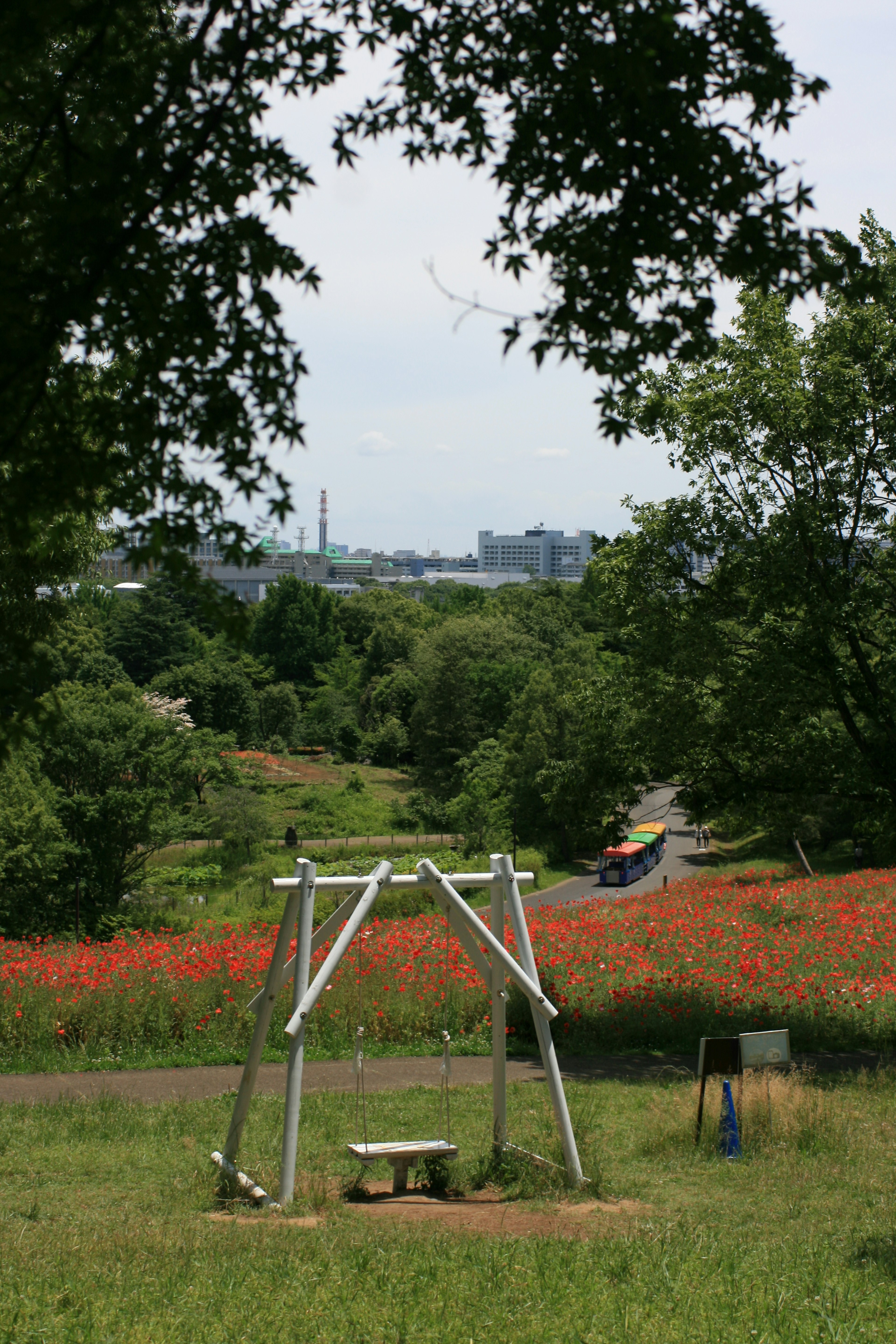 Un columpio en un parque con un paisaje verde