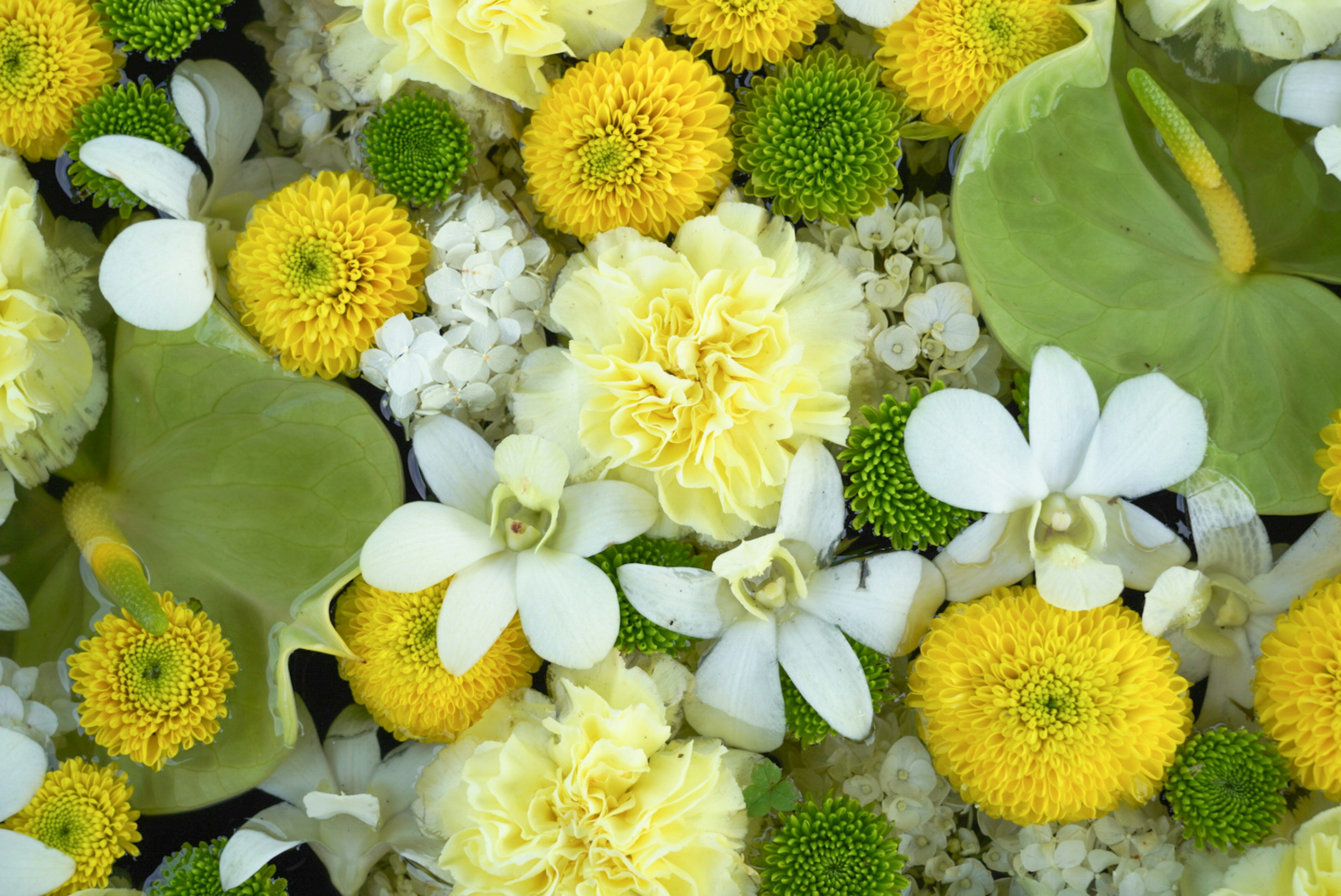 Une belle composition florale avec des fleurs jaunes et blanches vives et des accents verts