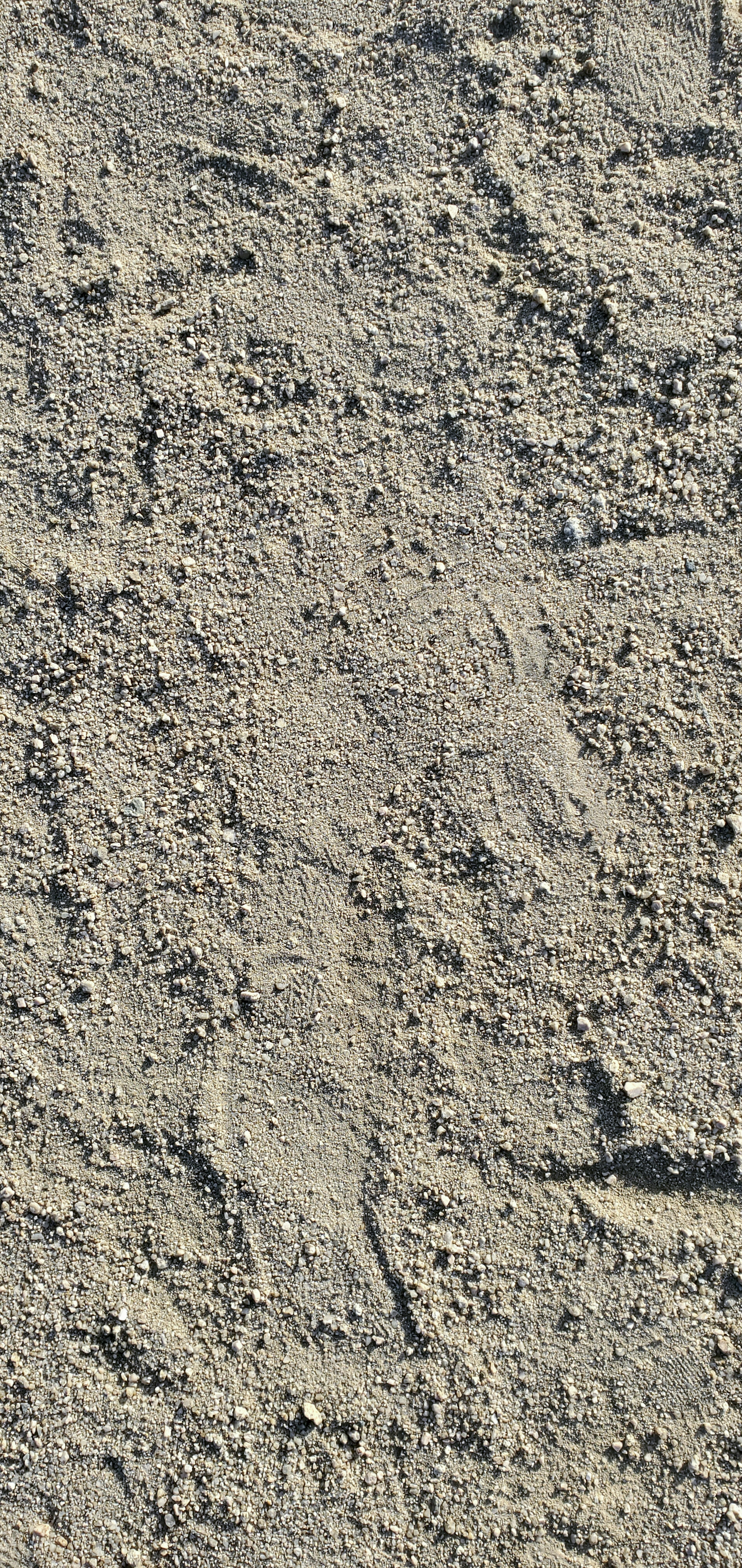 Footprints and natural patterns on sandy surface