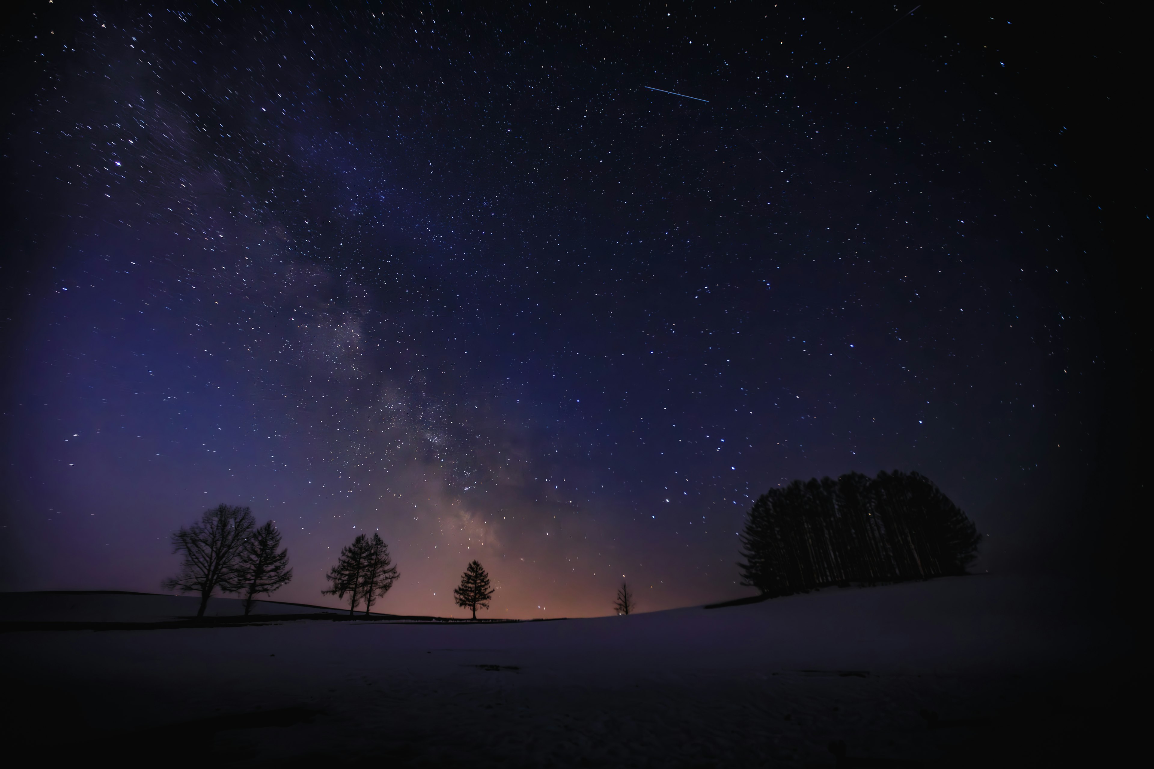 Vista nocturna escénica con un cielo estrellado y árboles en silueta contra la Vía Láctea