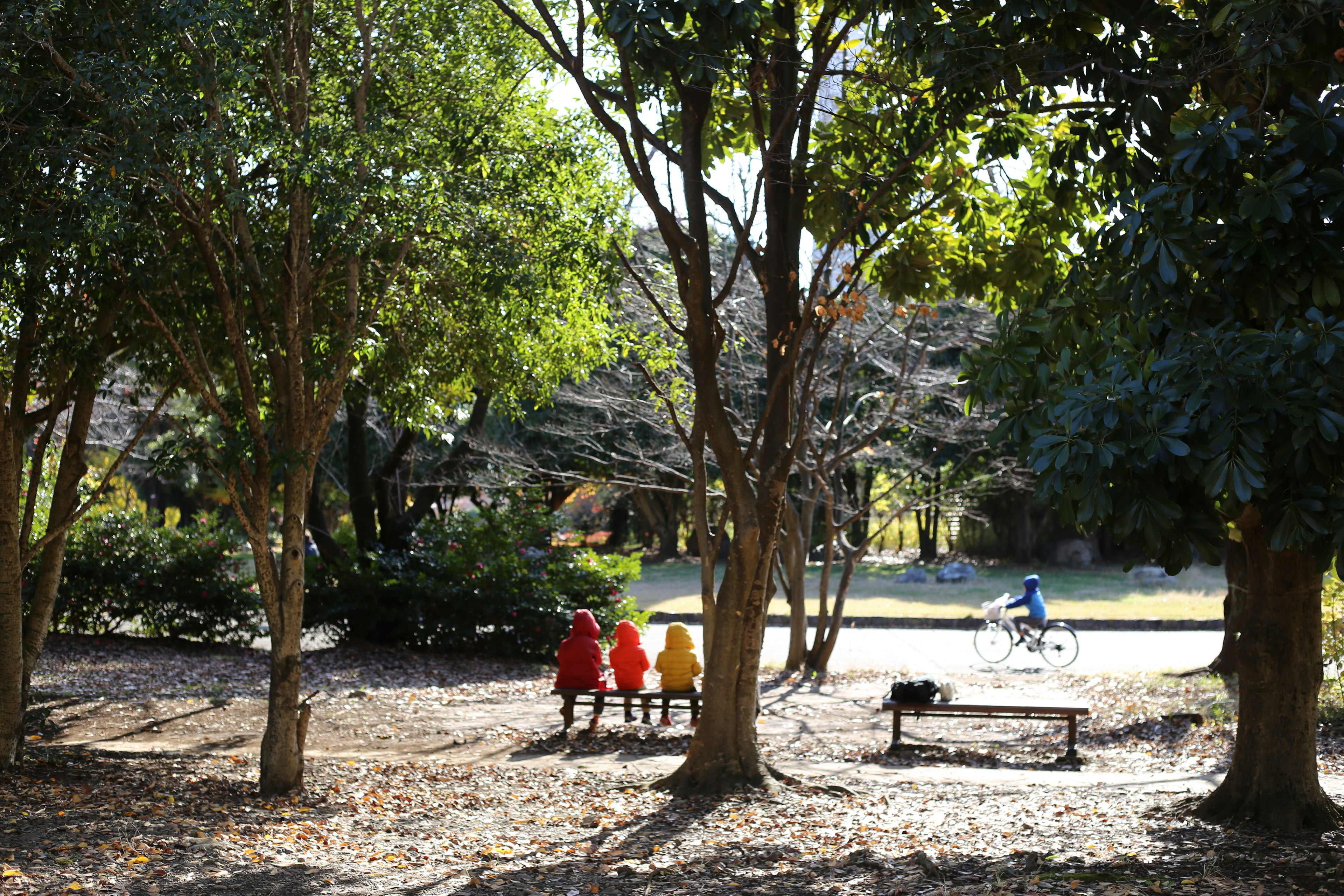 公園で座っている三人の人々と自転車に乗る人物の風景