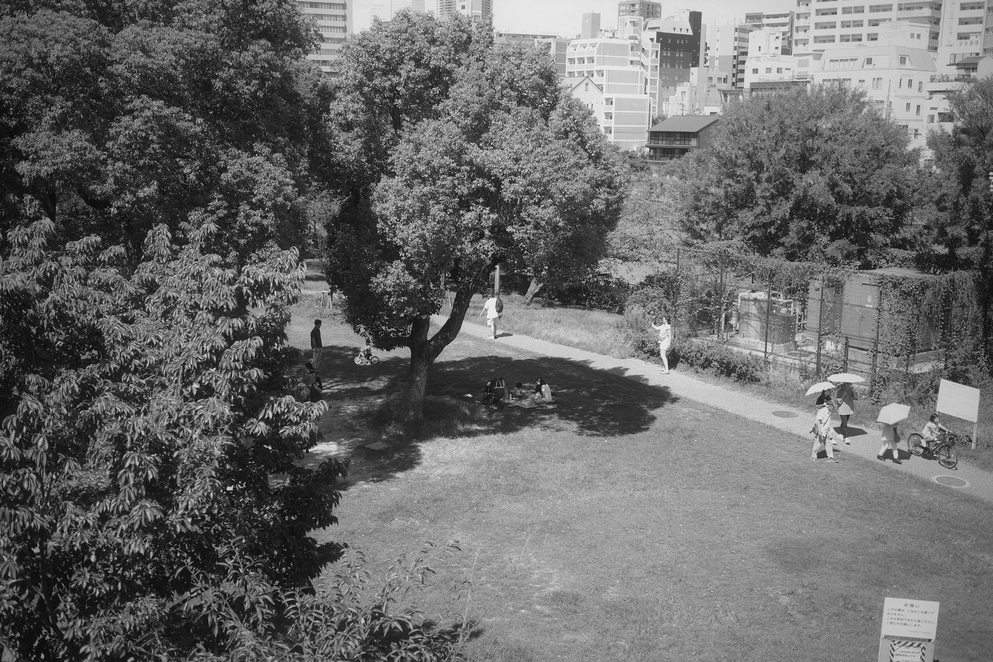 Lush park scene with people walking