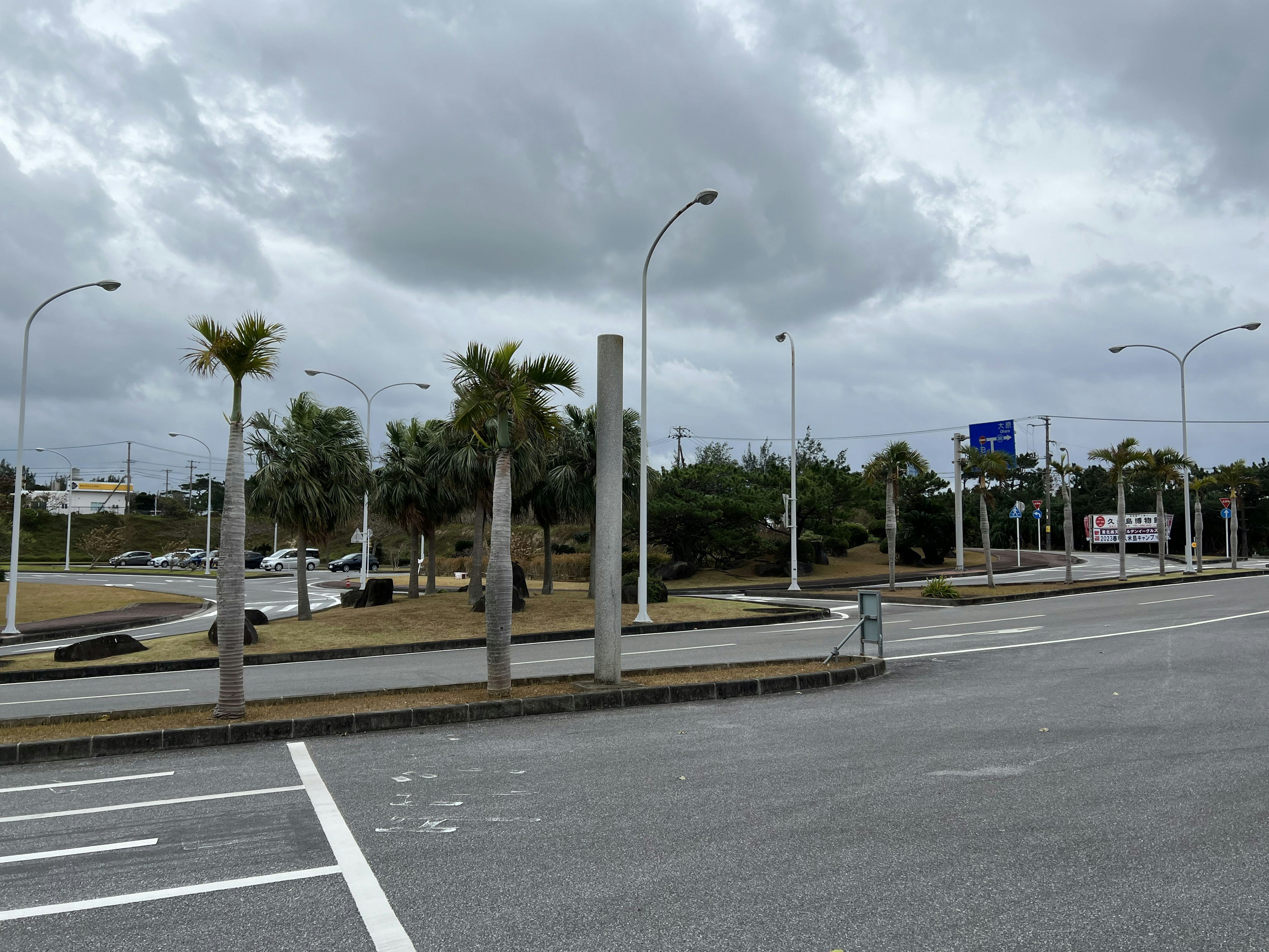 Städtische Landschaft mit Palmen und Straßenlaternen nahe einer Straße