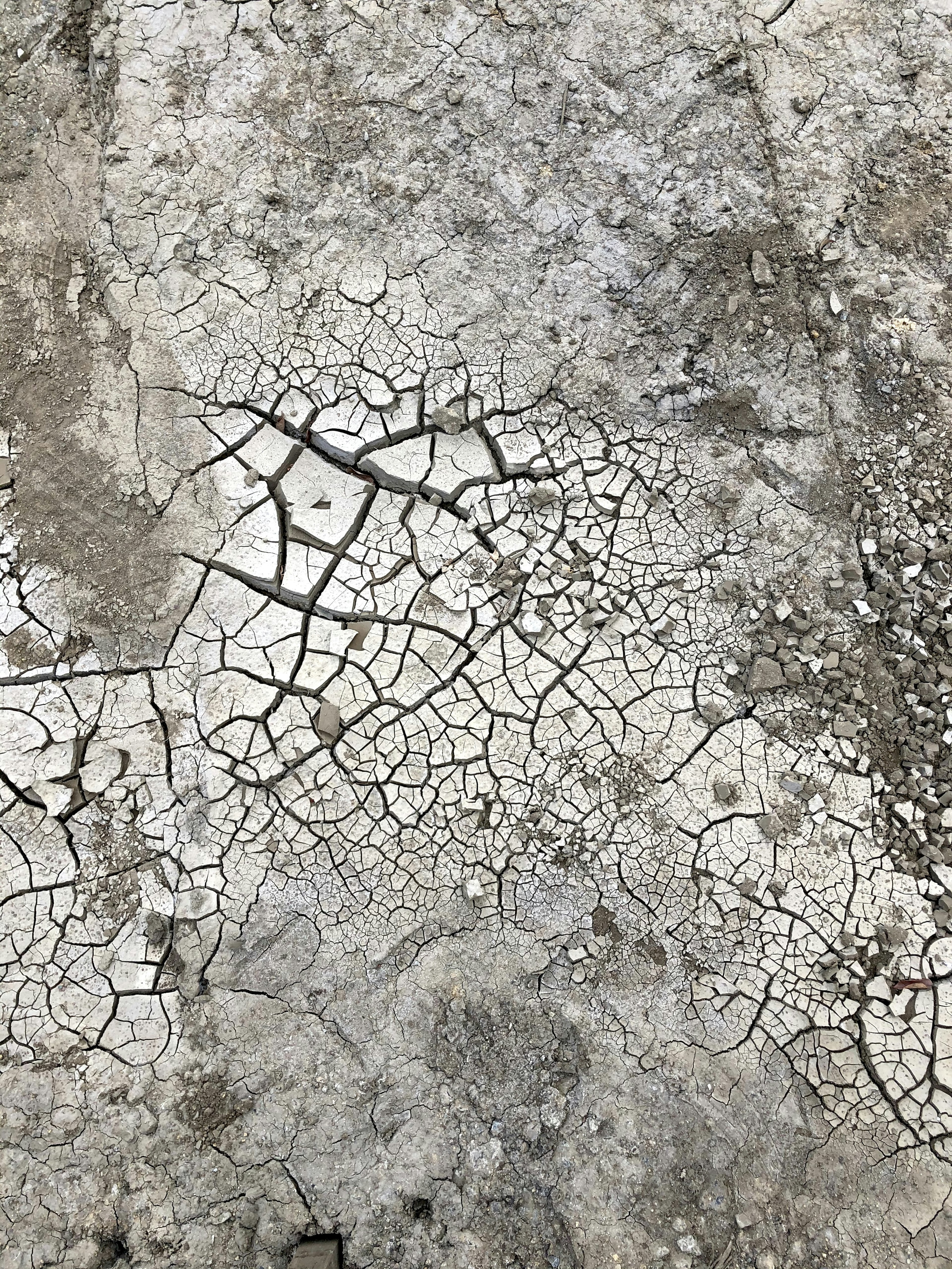 Textura de superficie de concreto agrietado con patrones intrincados