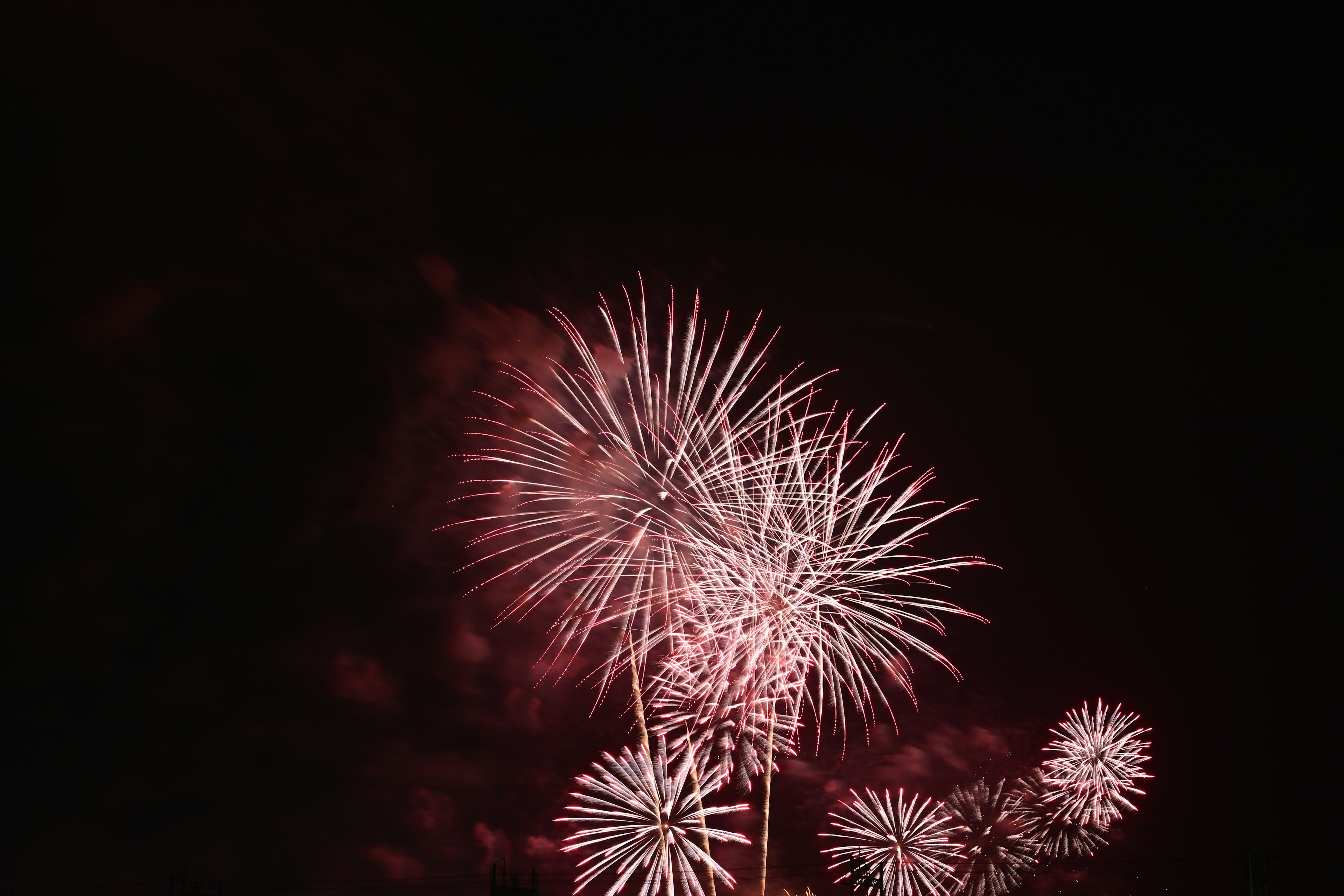 Feux d'artifice blancs ressemblant à des fleurs dans le ciel nocturne