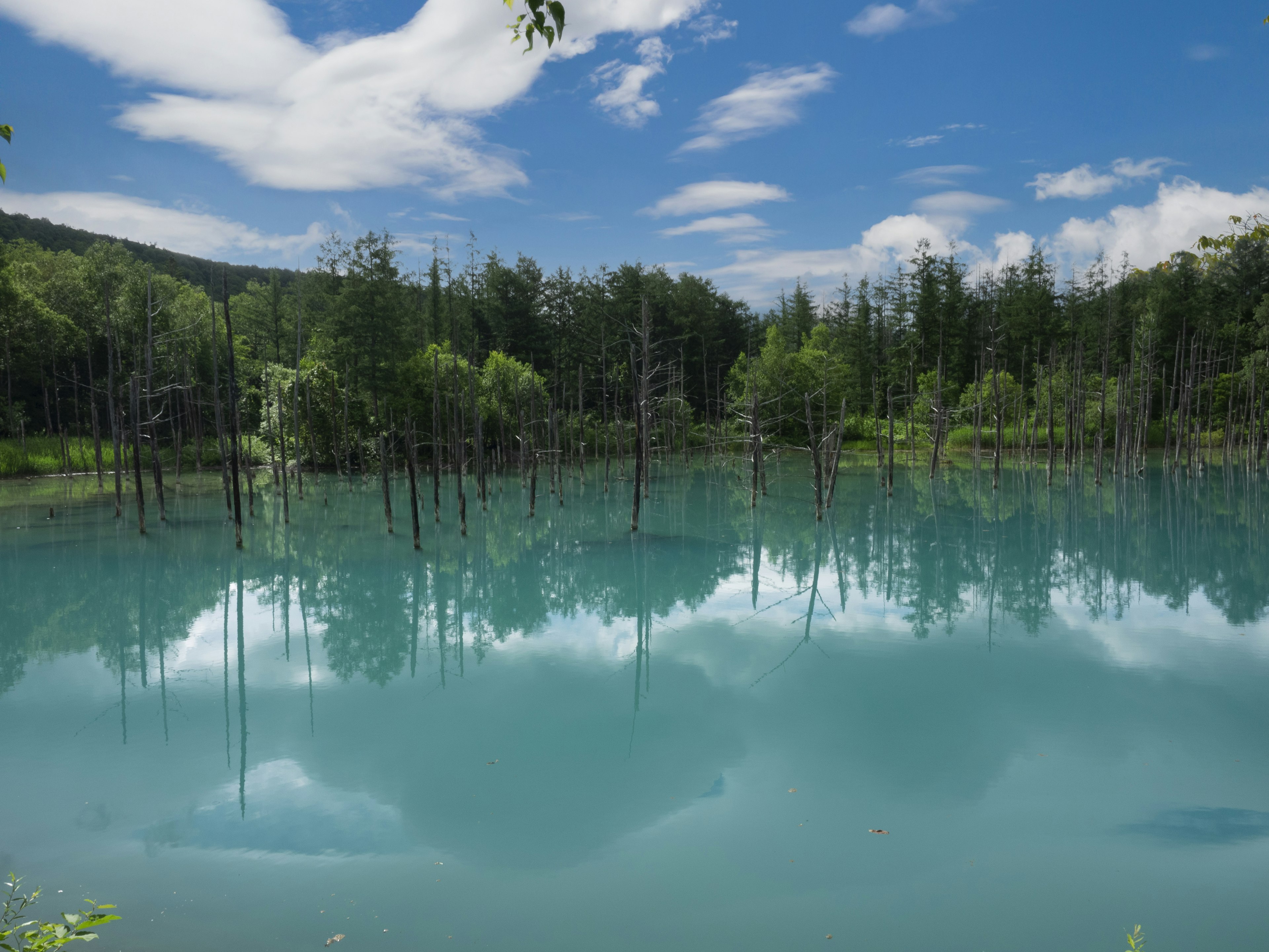 Ruhiger See mit türkisfarbenem Wasser, das Bäume und blauen Himmel spiegelt