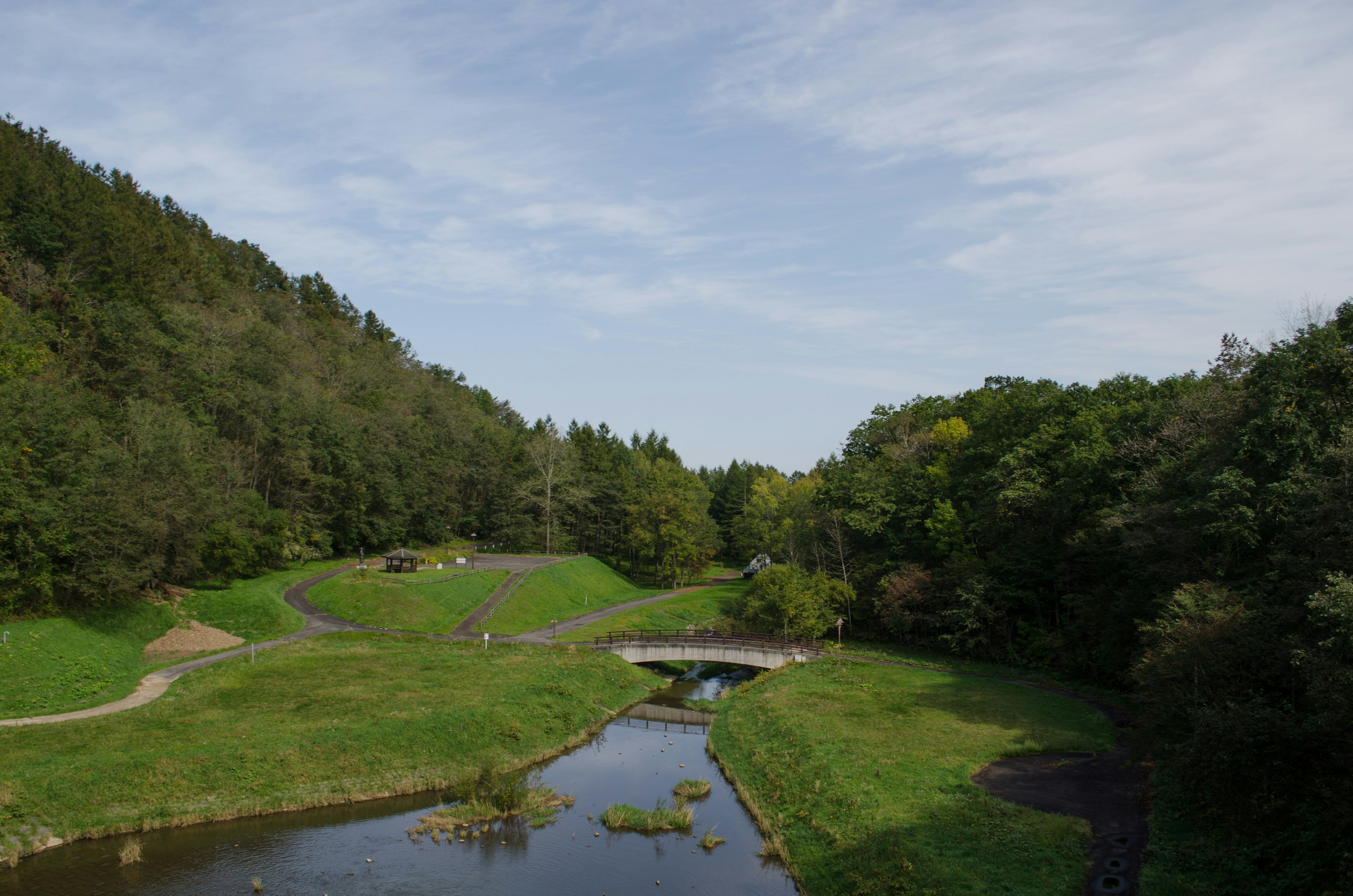 緑豊かな公園の風景小川と橋が見える